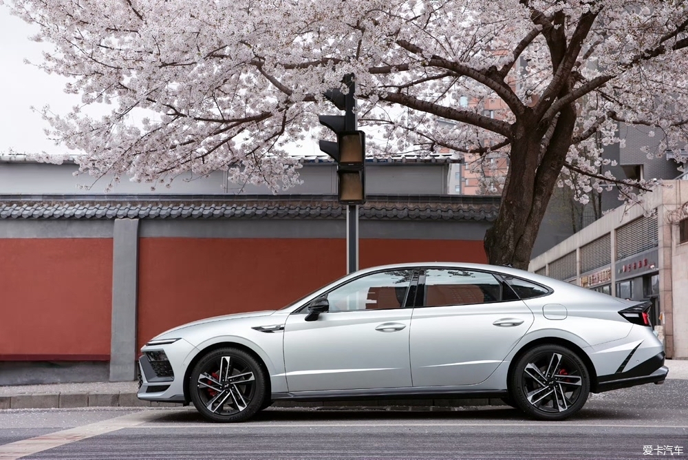 The Promise Under the Nanshan Tower: Sonata, Sakura and Witness of love