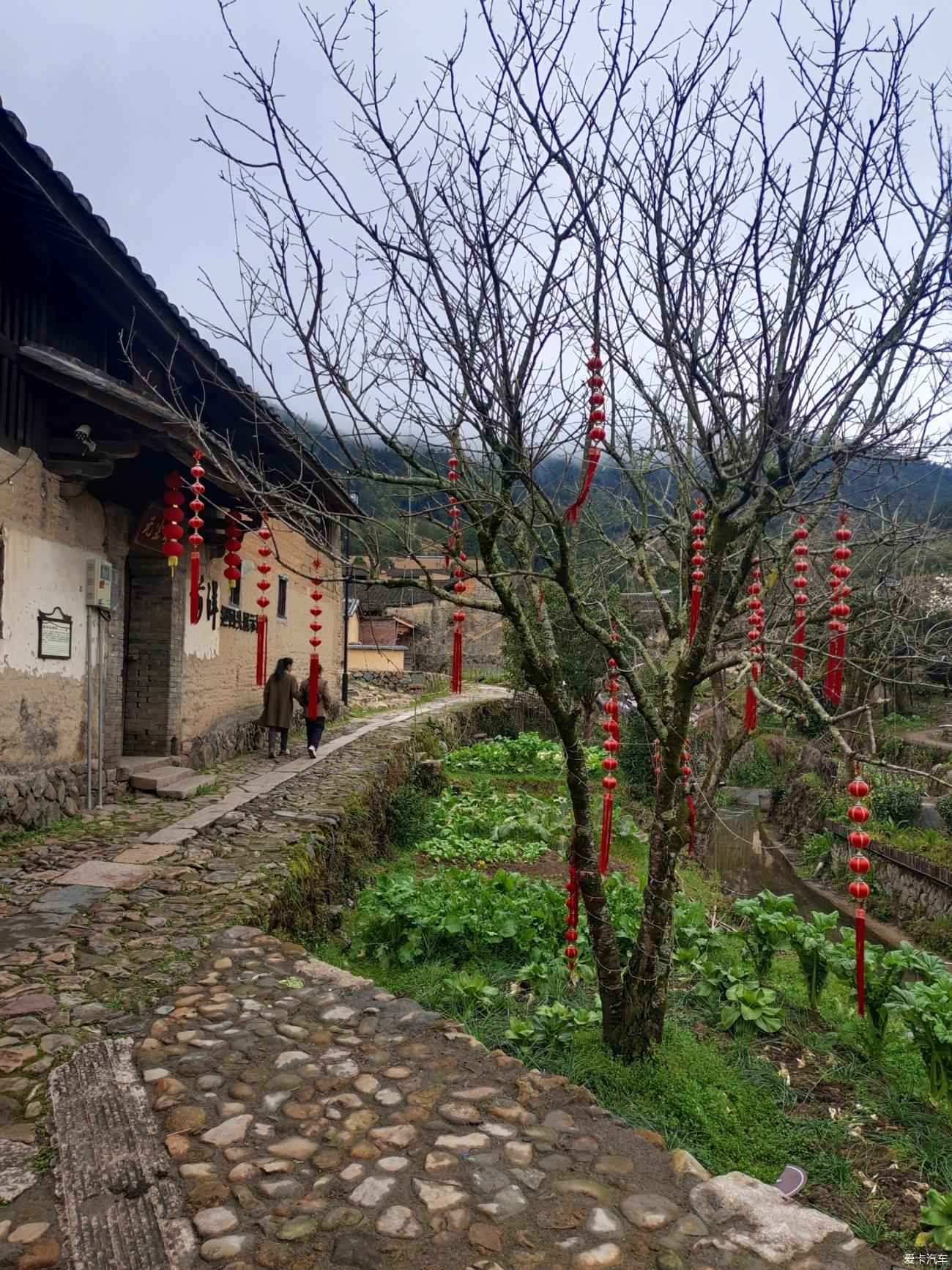 点击进入图库