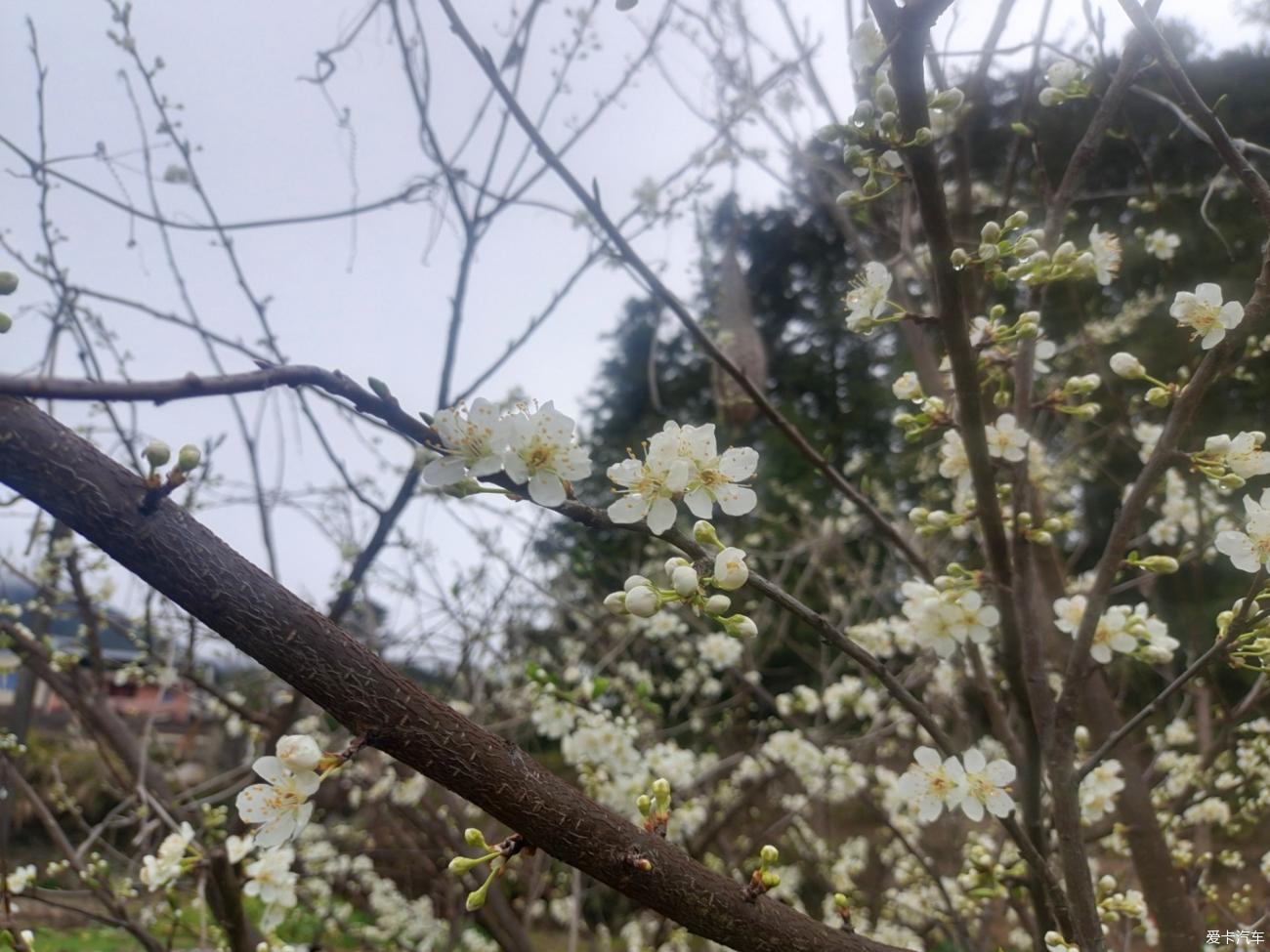 点击进入图库