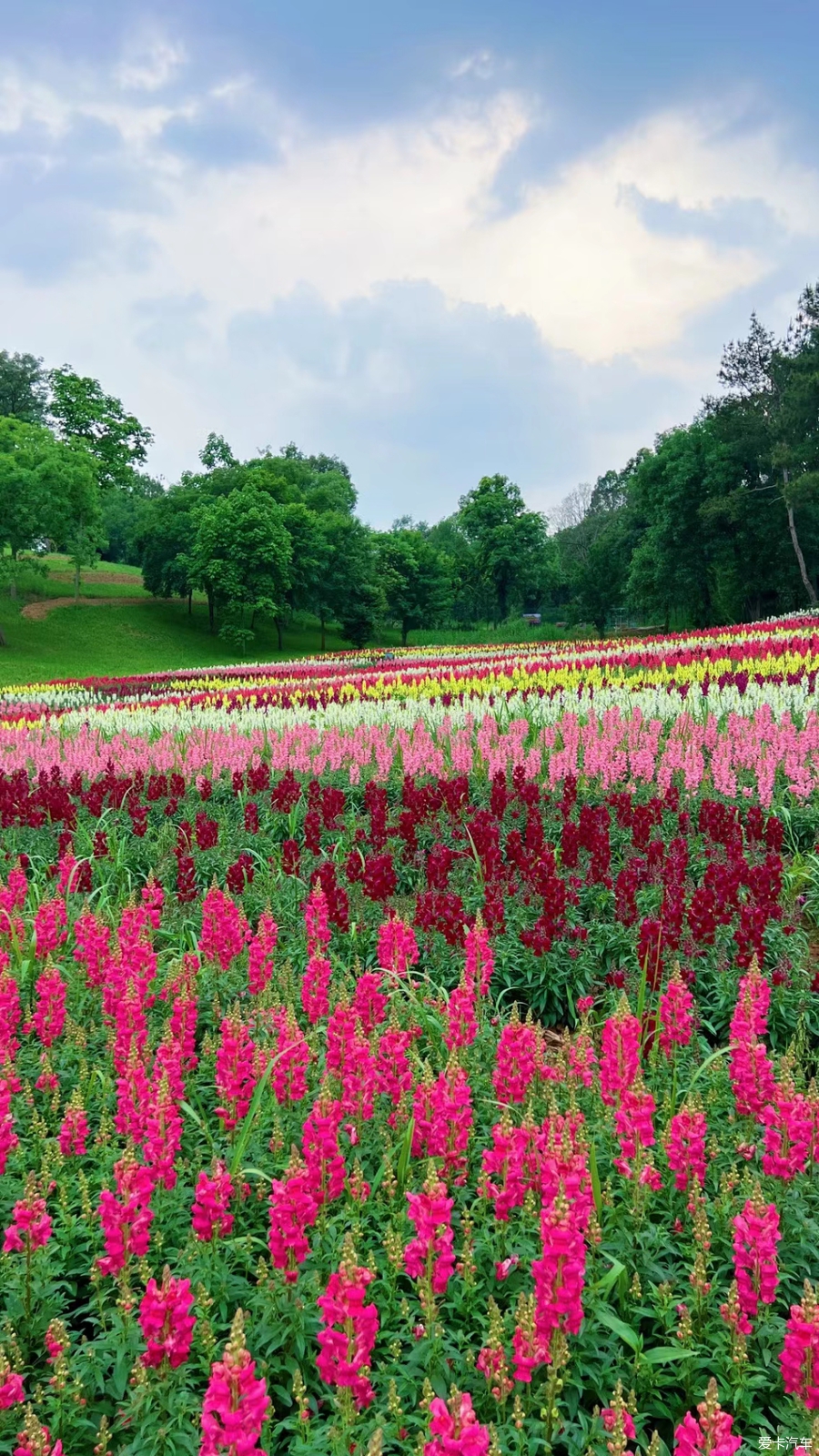 万紫千红植物园免门票图片