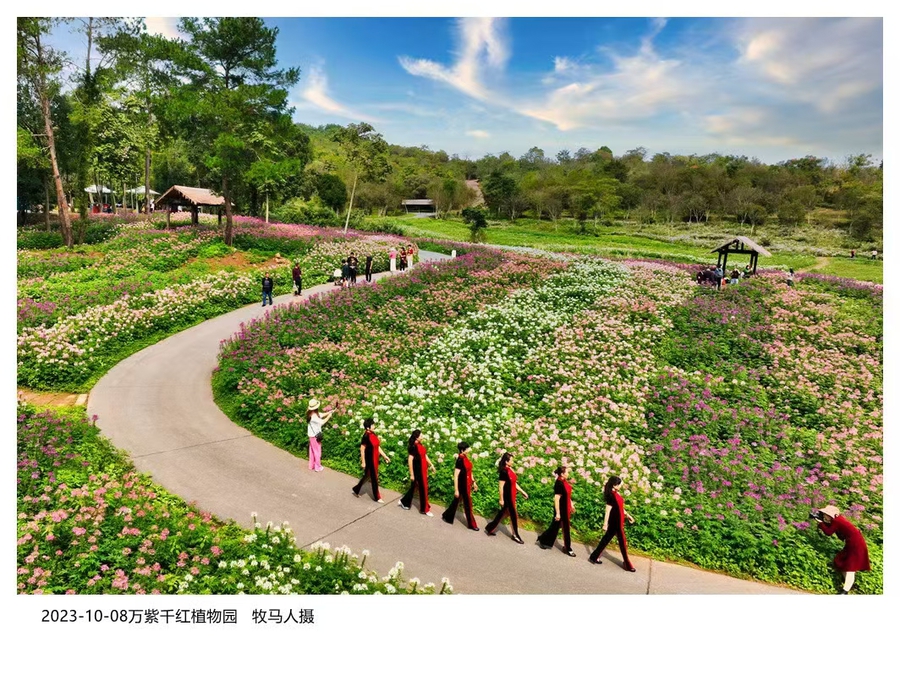 万紫千红植物园免门票图片