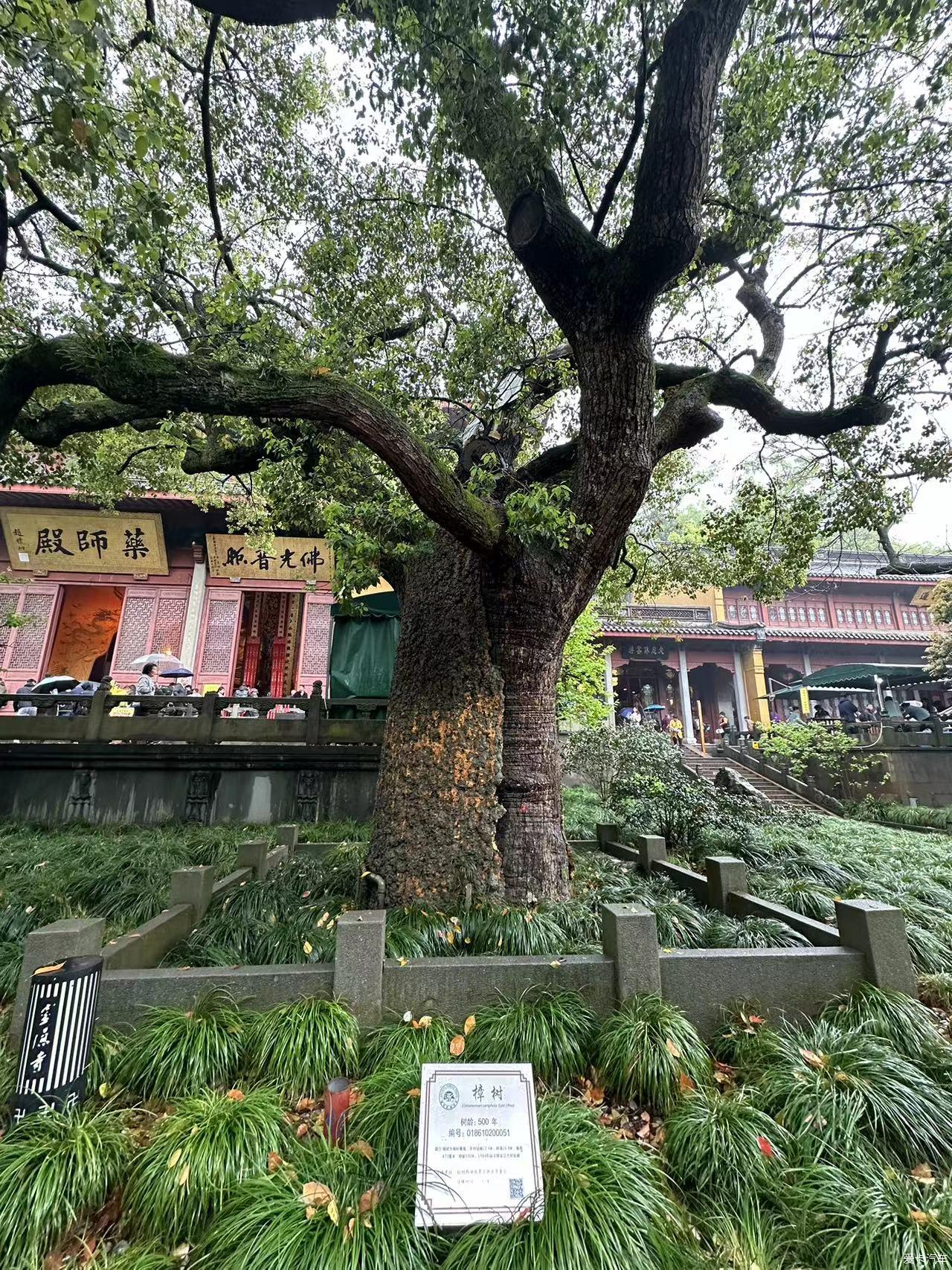 [Wonderful Competition] Hangzhou Lingyin Temple