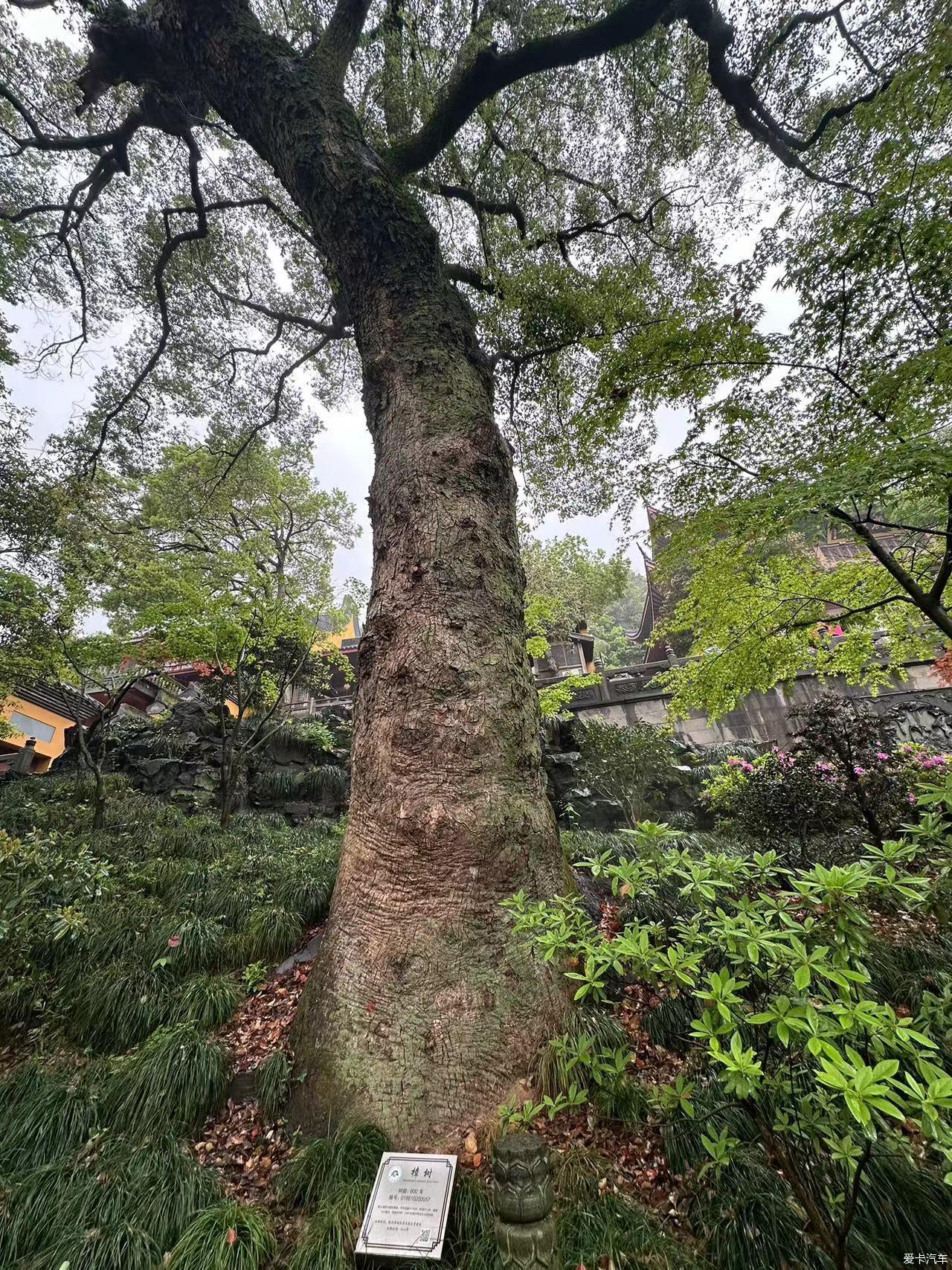 Hangzhou Lingyin Temple 