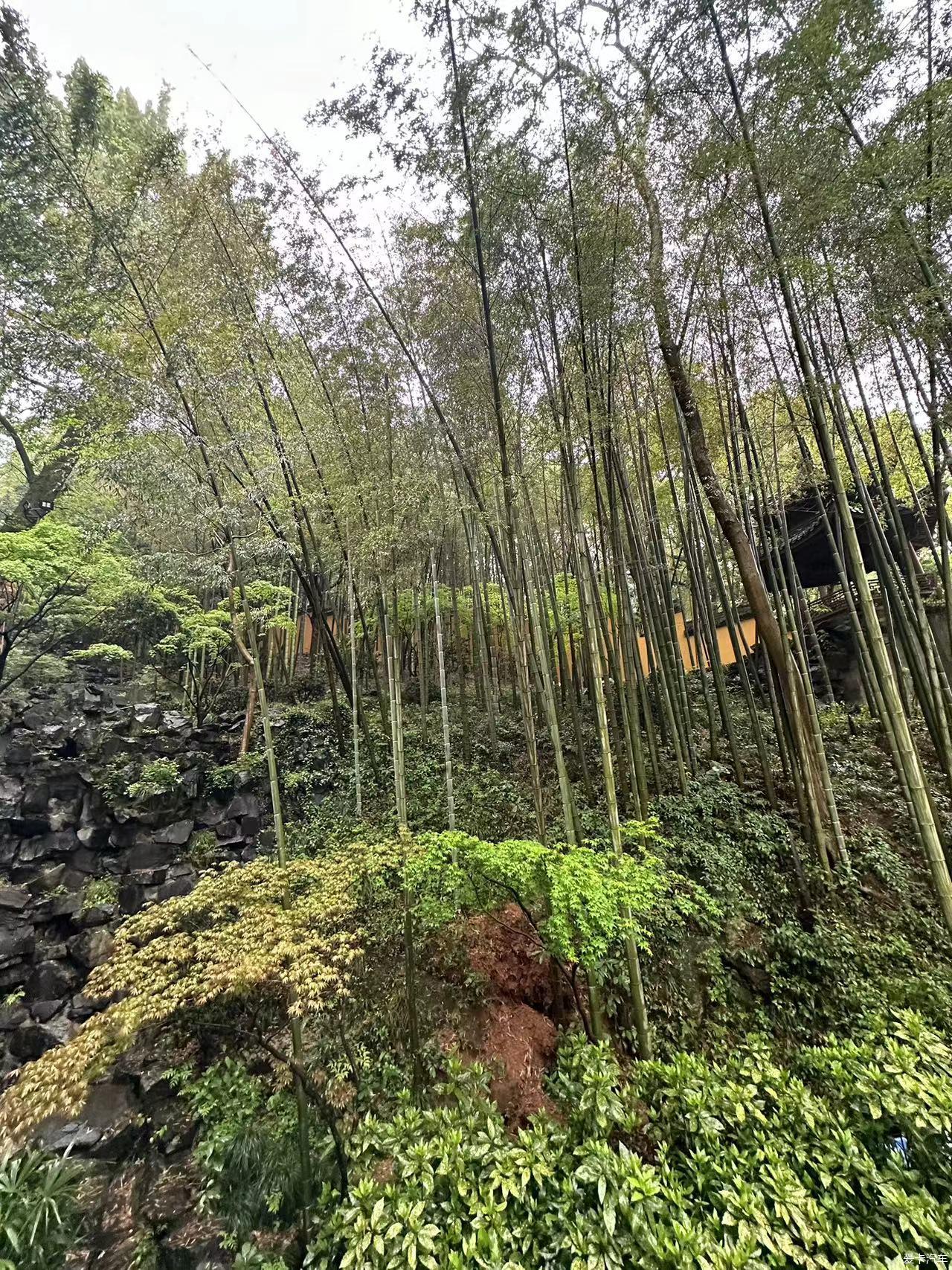 【Wonderful Competition】Hangzhou Lingyin Temple