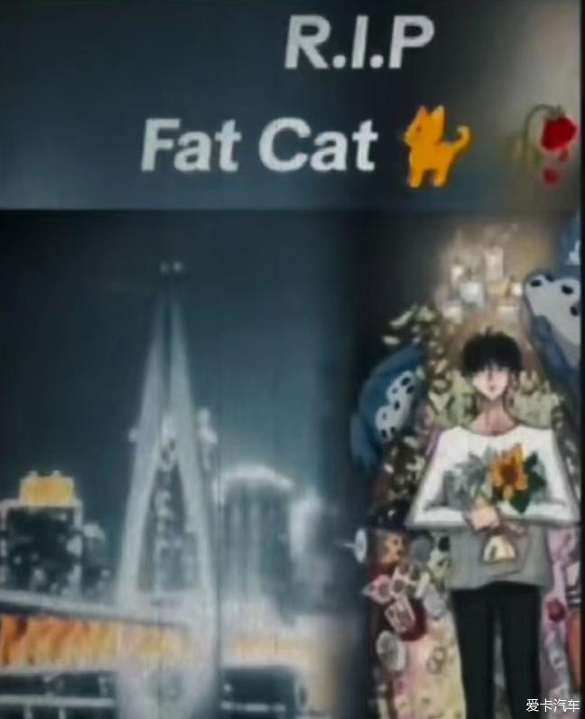 Things about fat cats are unexpected Marrying a Chinese girl abroad has a great influence,,,,,,