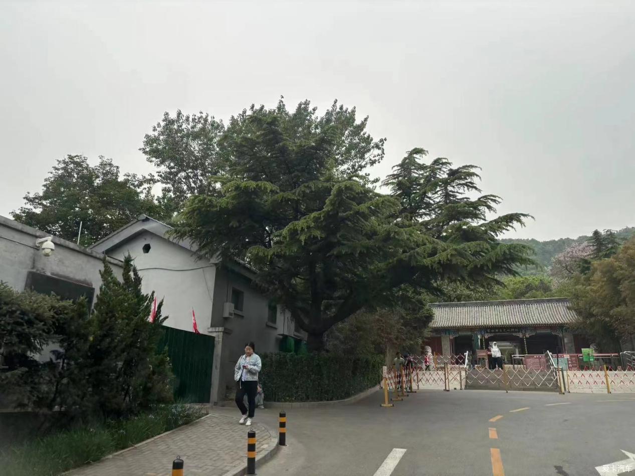 点击进入图库