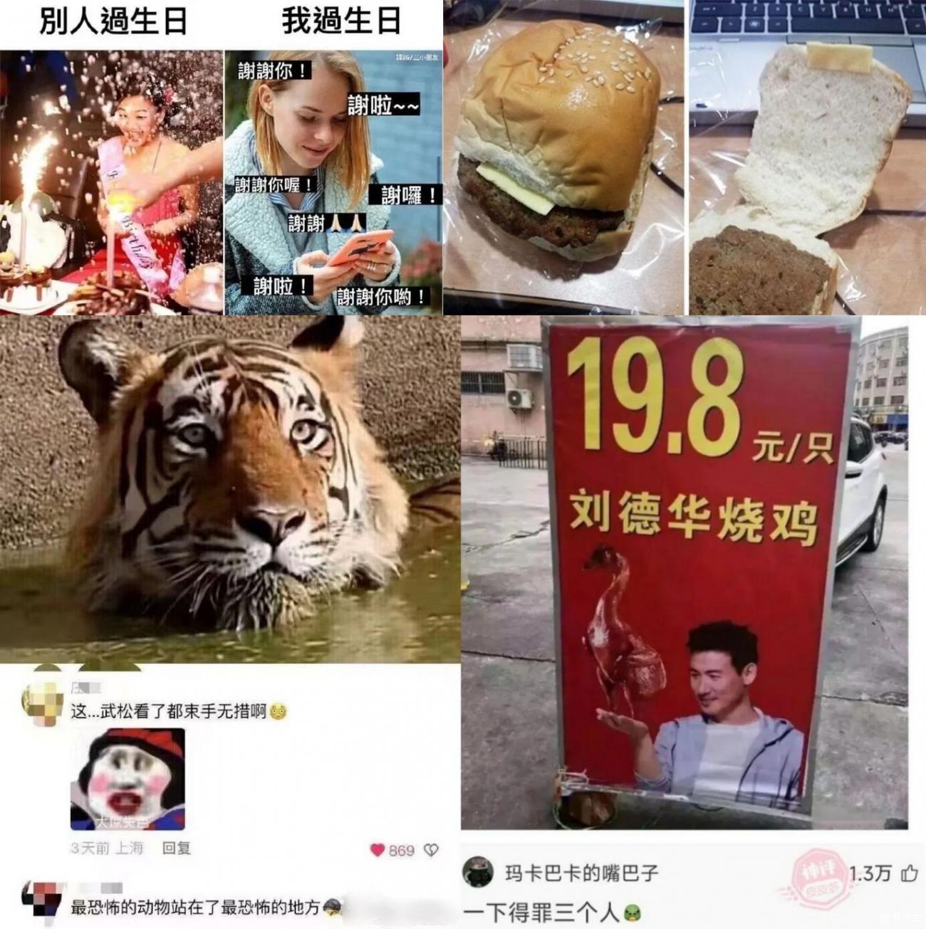 点击进入图库