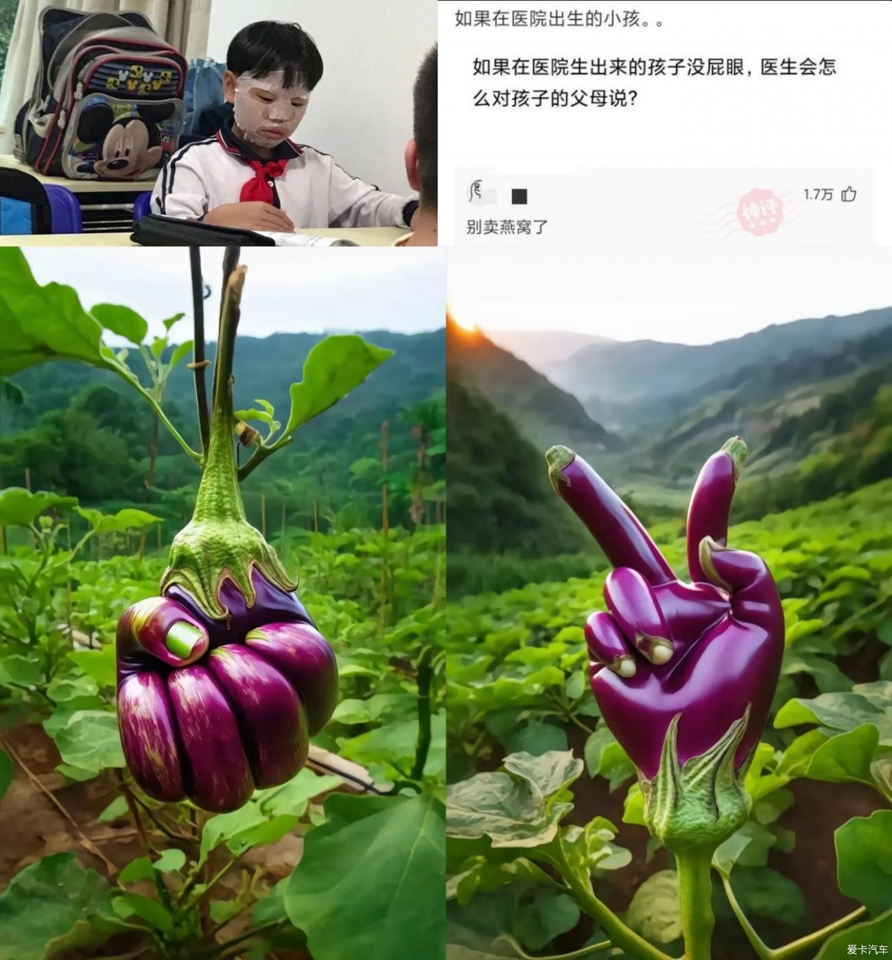 点击进入图库