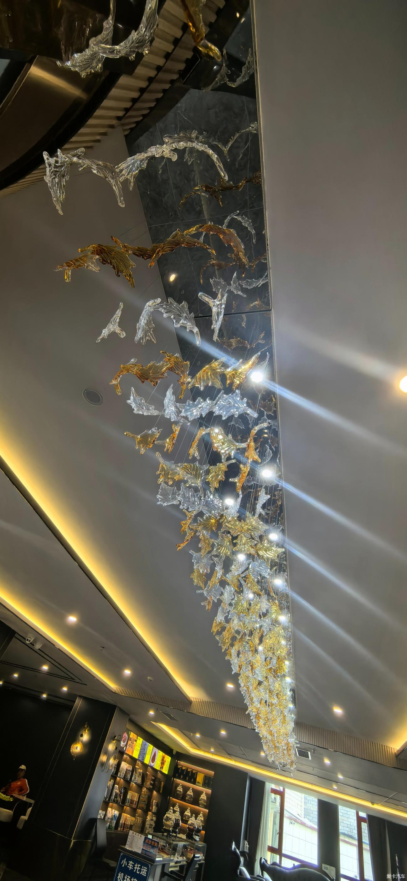 点击进入图库