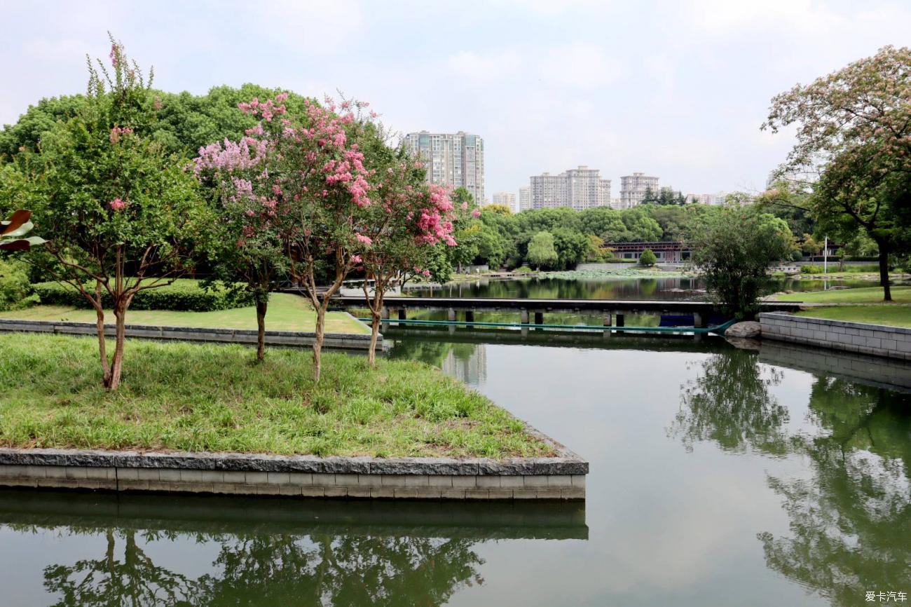 点击进入图库
