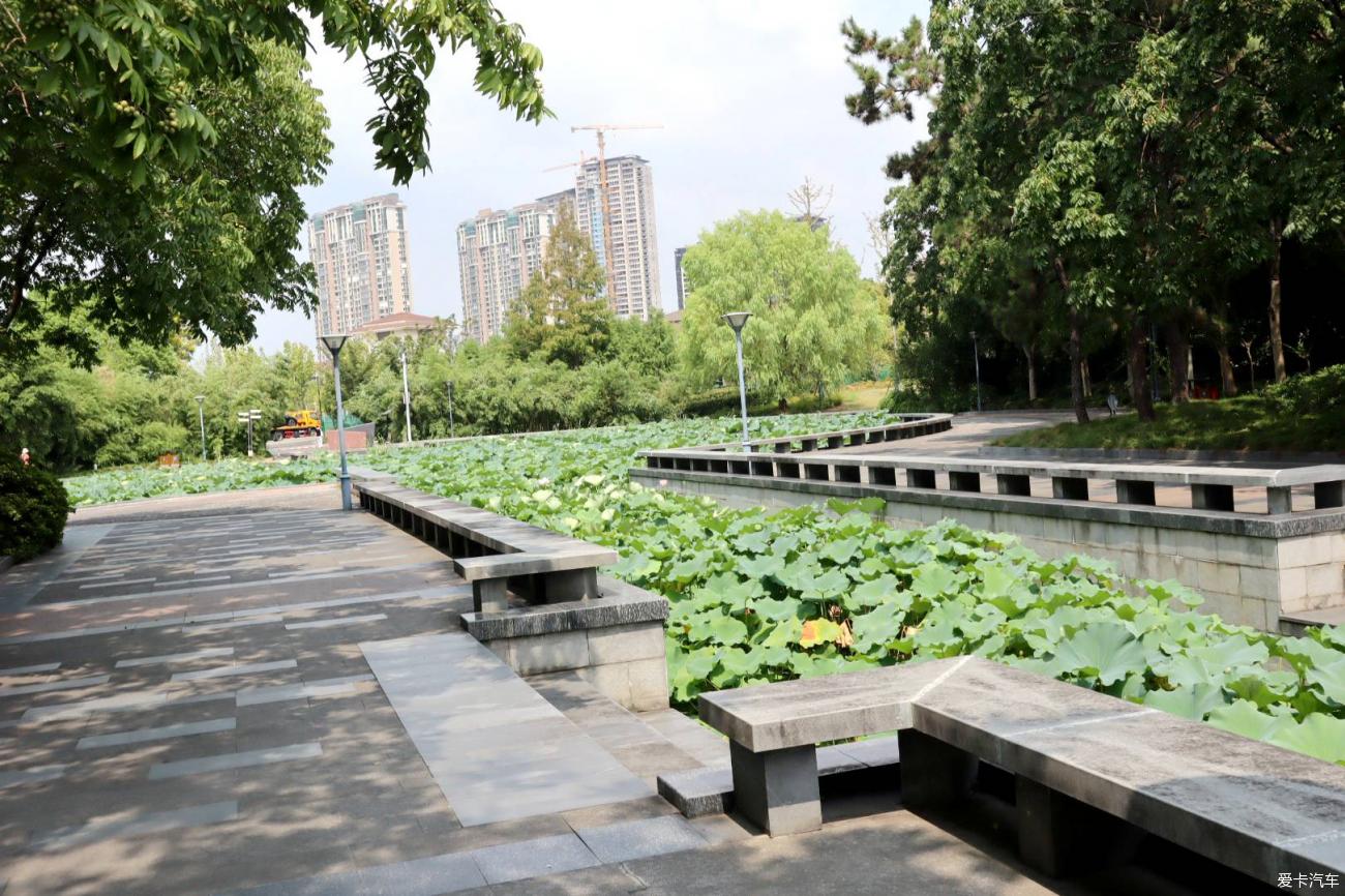 点击进入图库