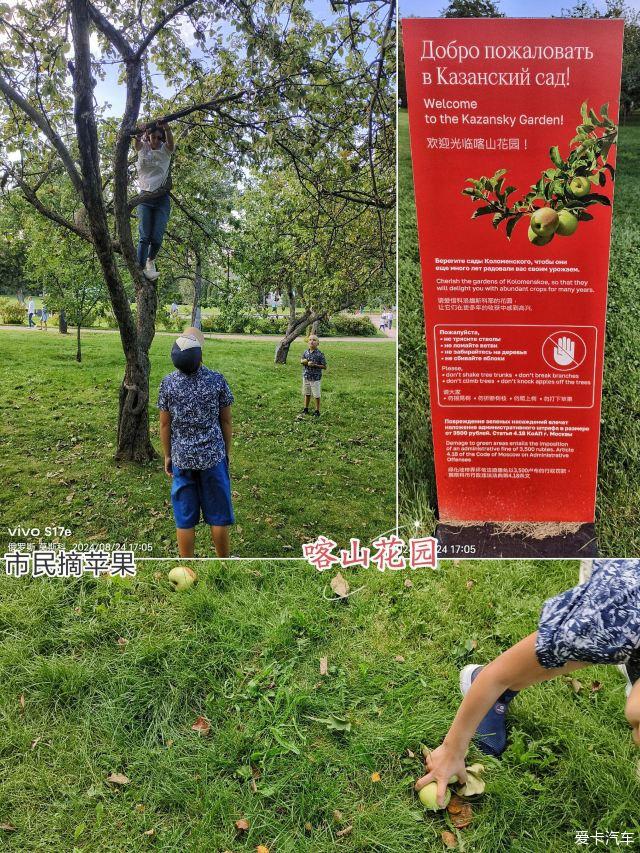 点击进入图库