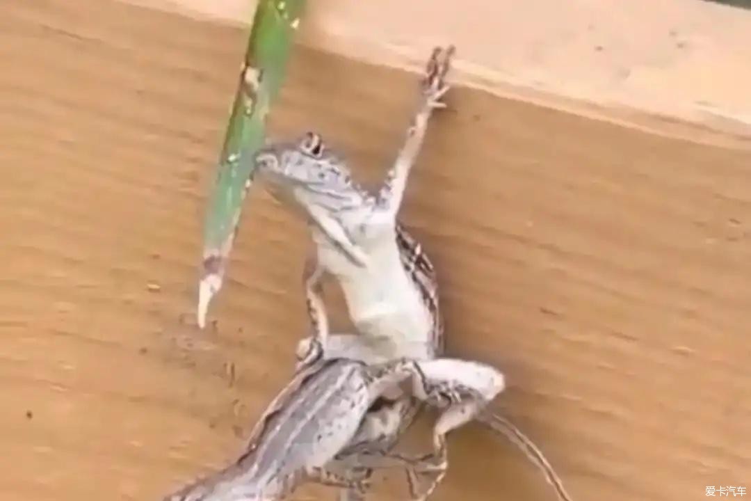 永不放弃不抛弃