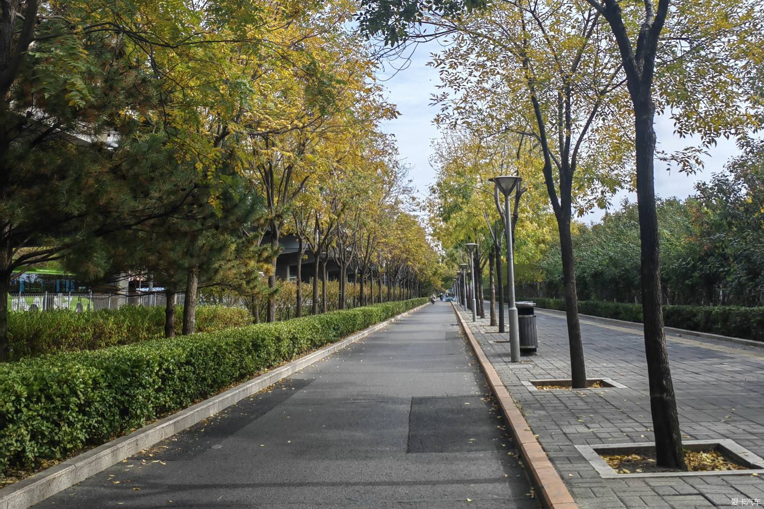 来这干什么