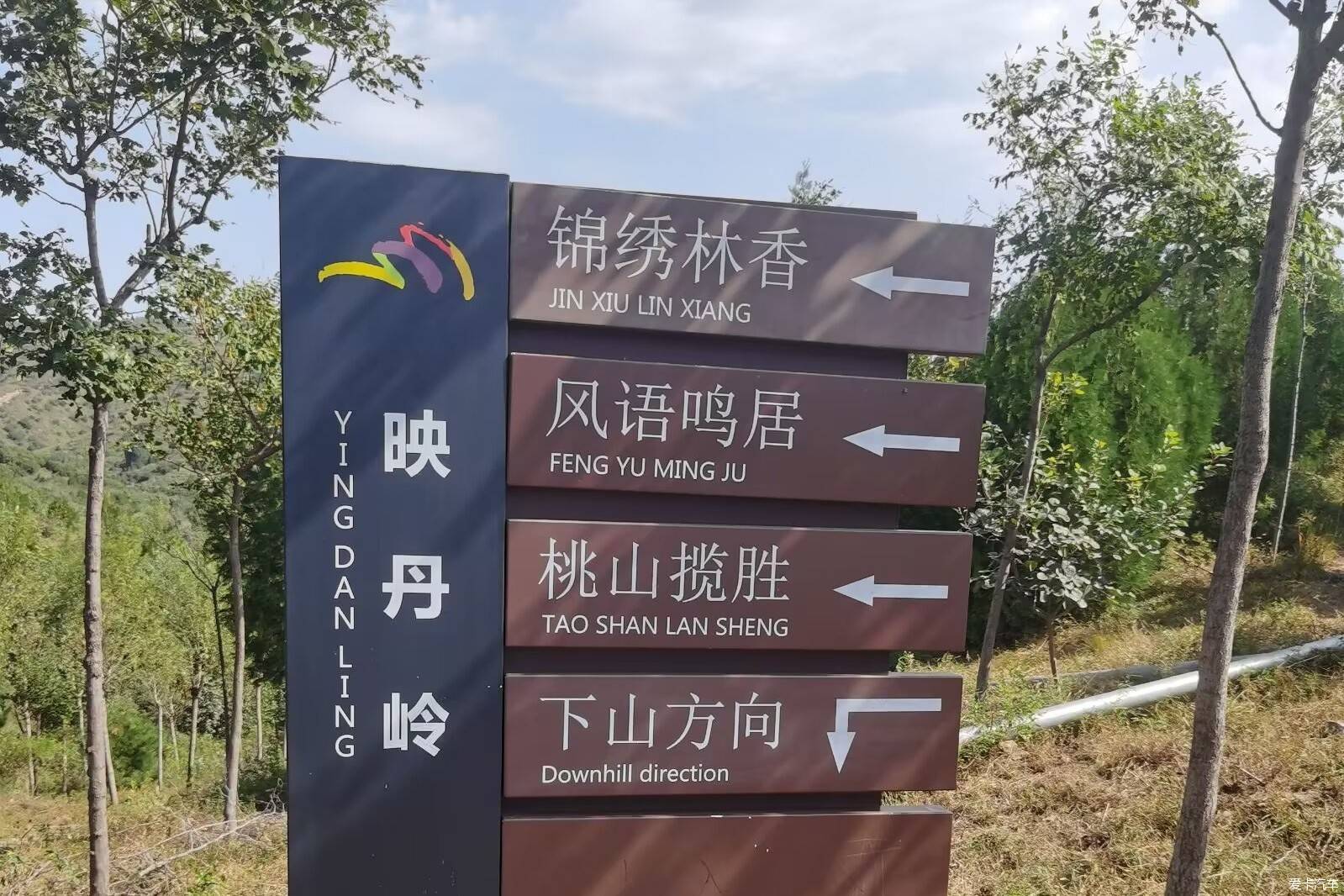 爱的就是你