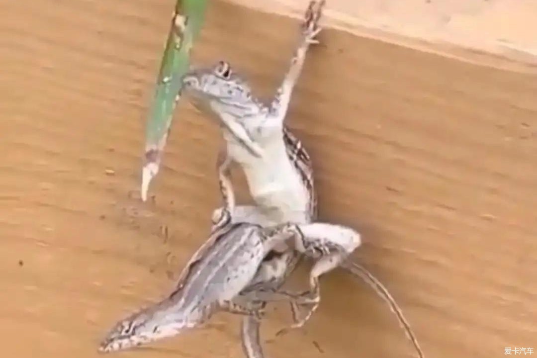 倒挂金钩了
