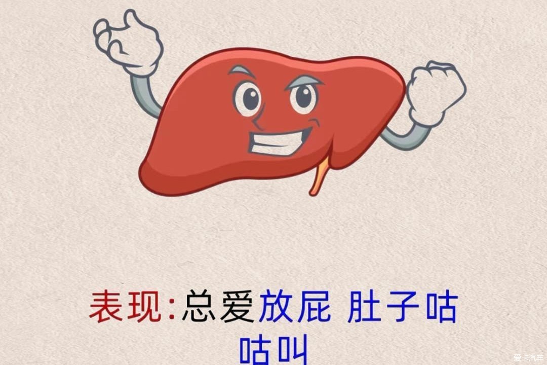 肝弱者多屁