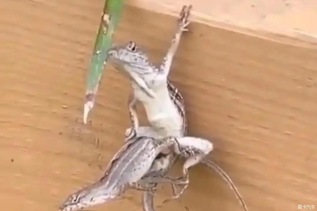 命悬一线的感觉