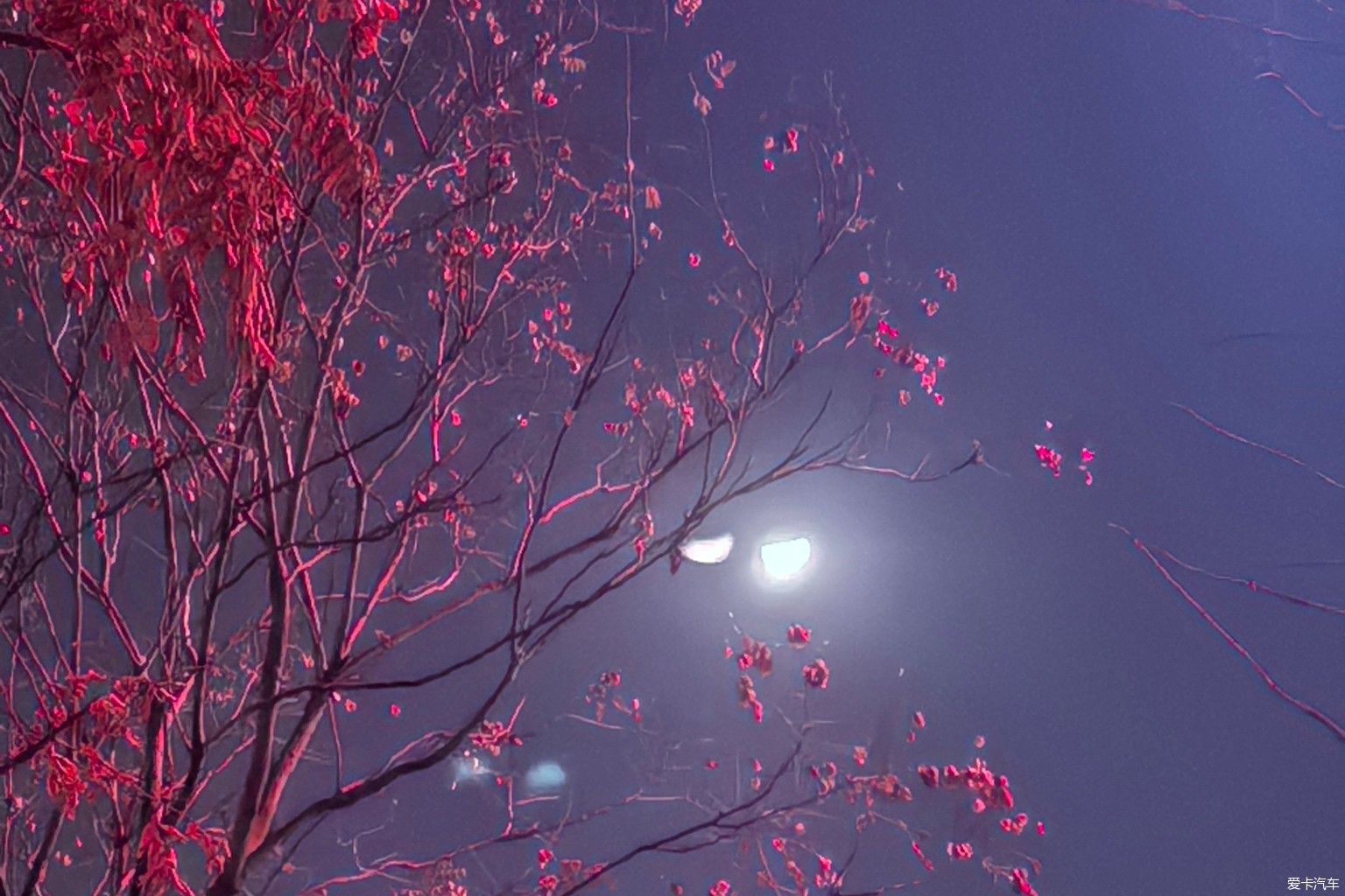 月下孤影