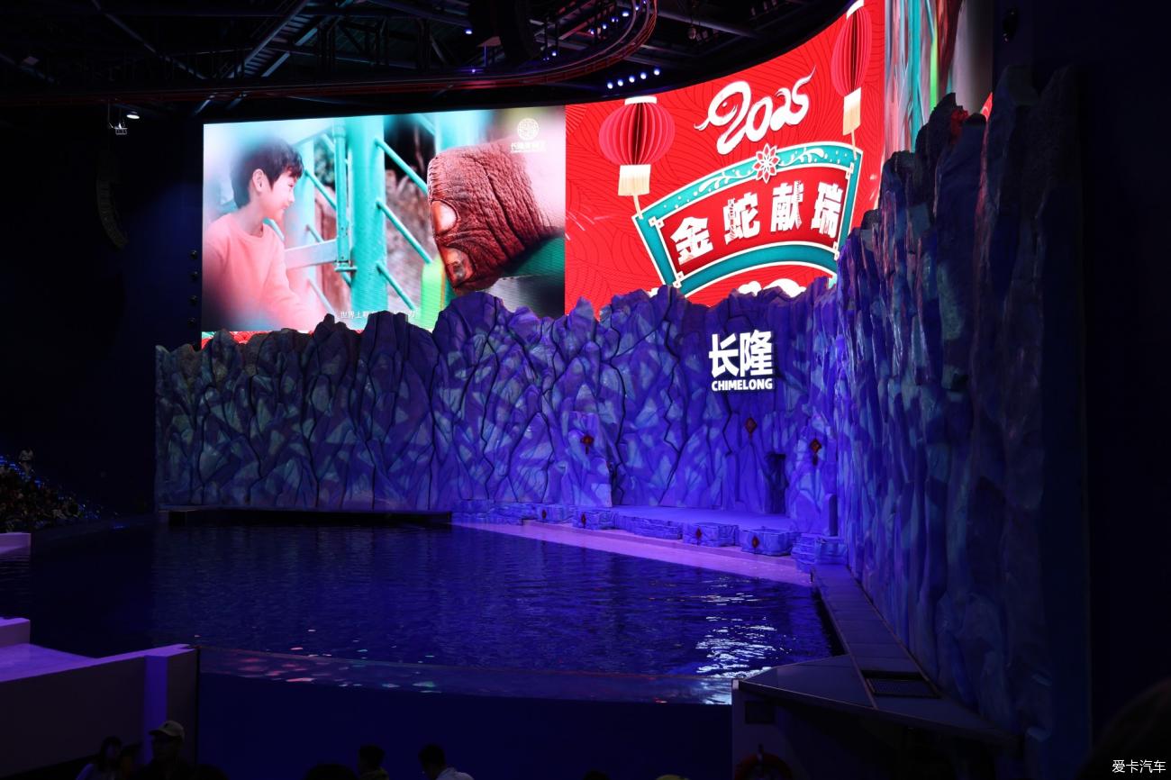 2025春节港珠澳7日记录