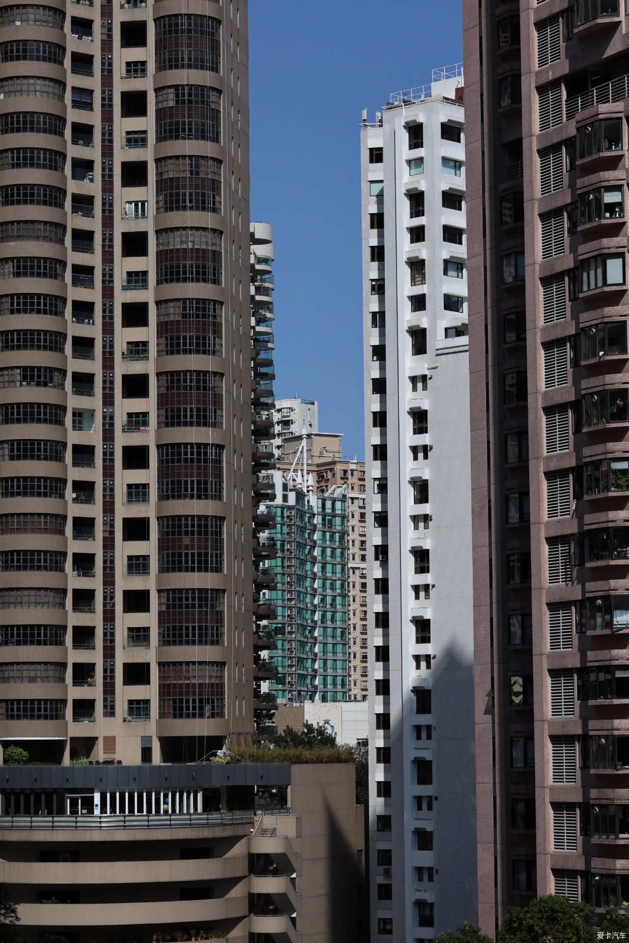 2025春节港珠澳7日记录