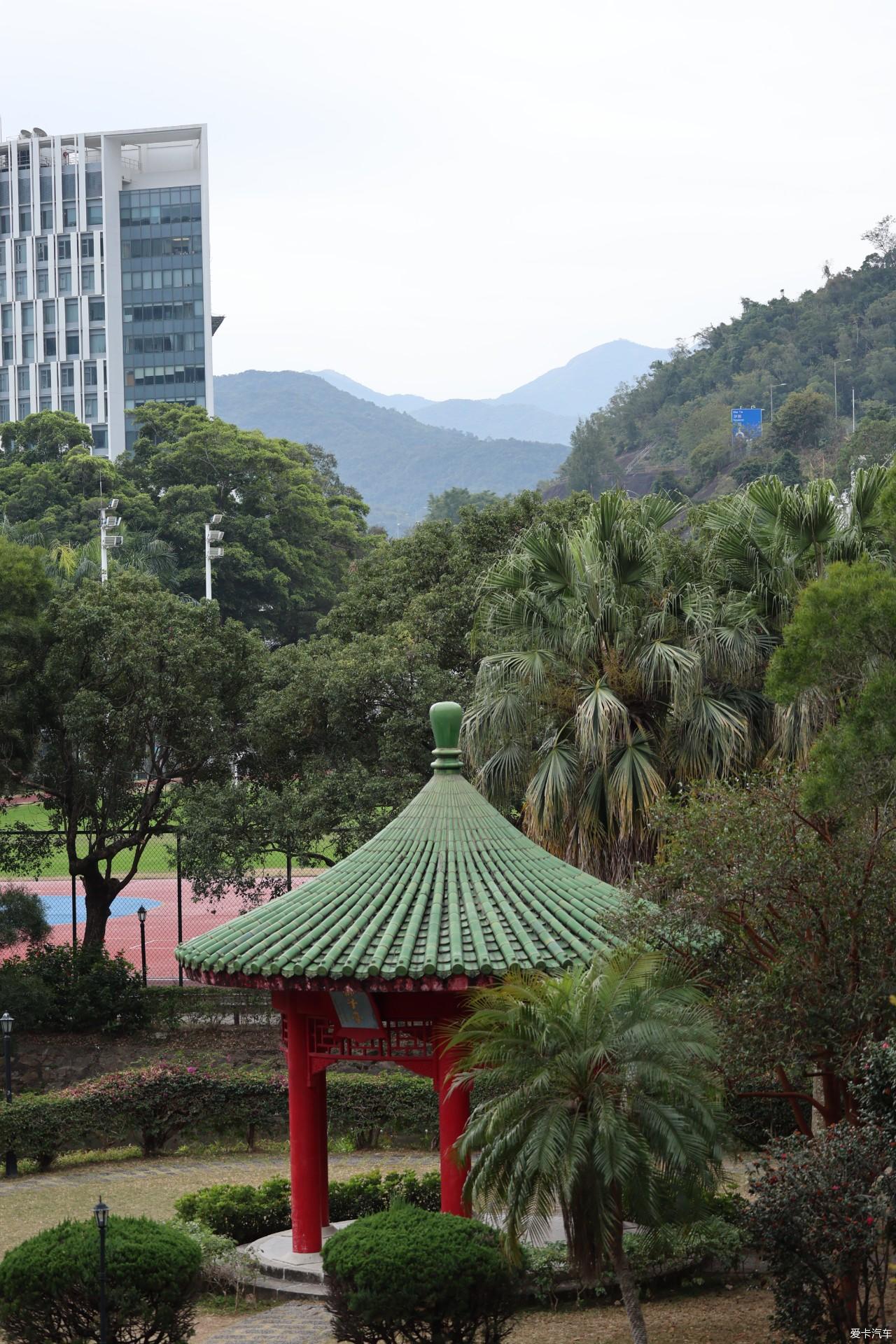 2025春节港珠澳7日记录