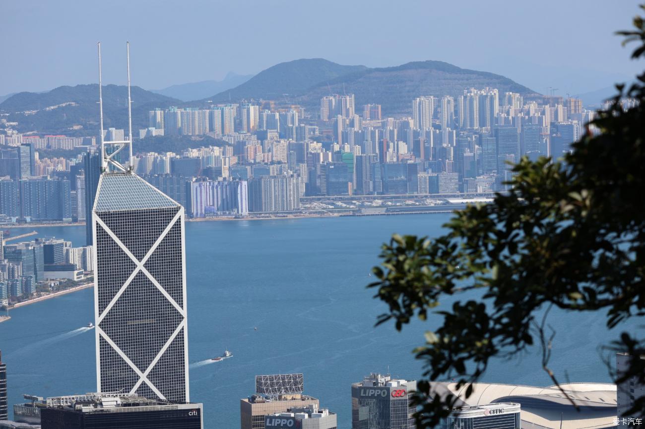 2025春节港珠澳7日记录