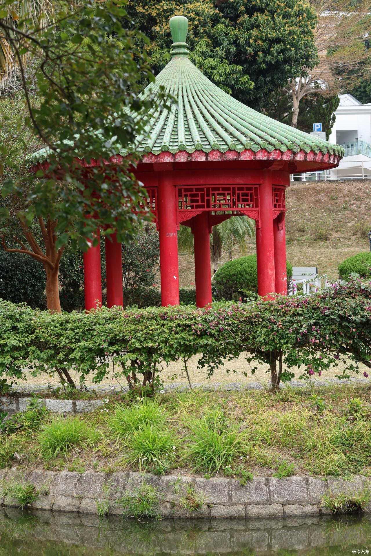 2025春节港珠澳7日记录