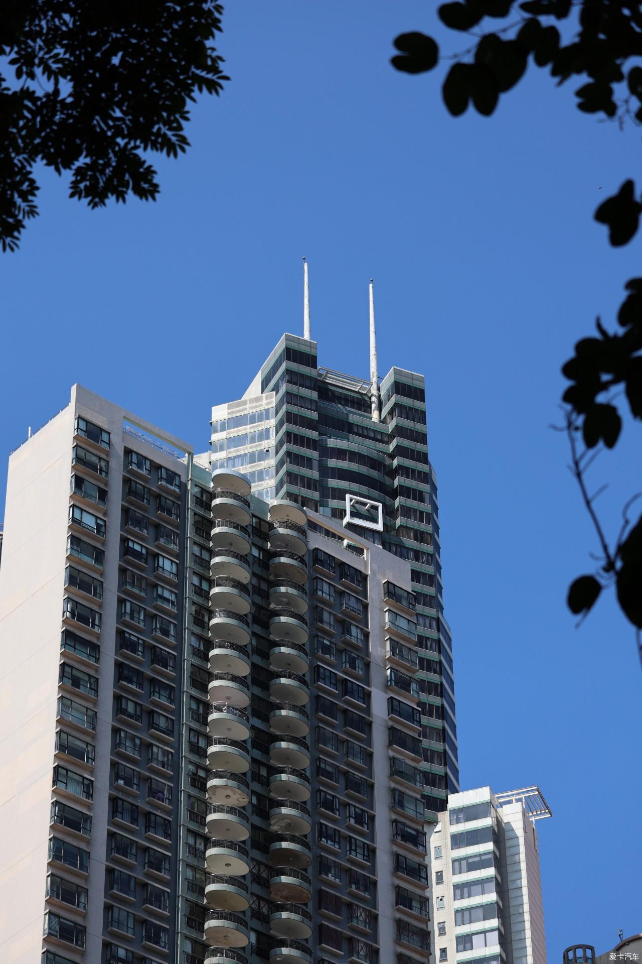 2025春节港珠澳7日记录