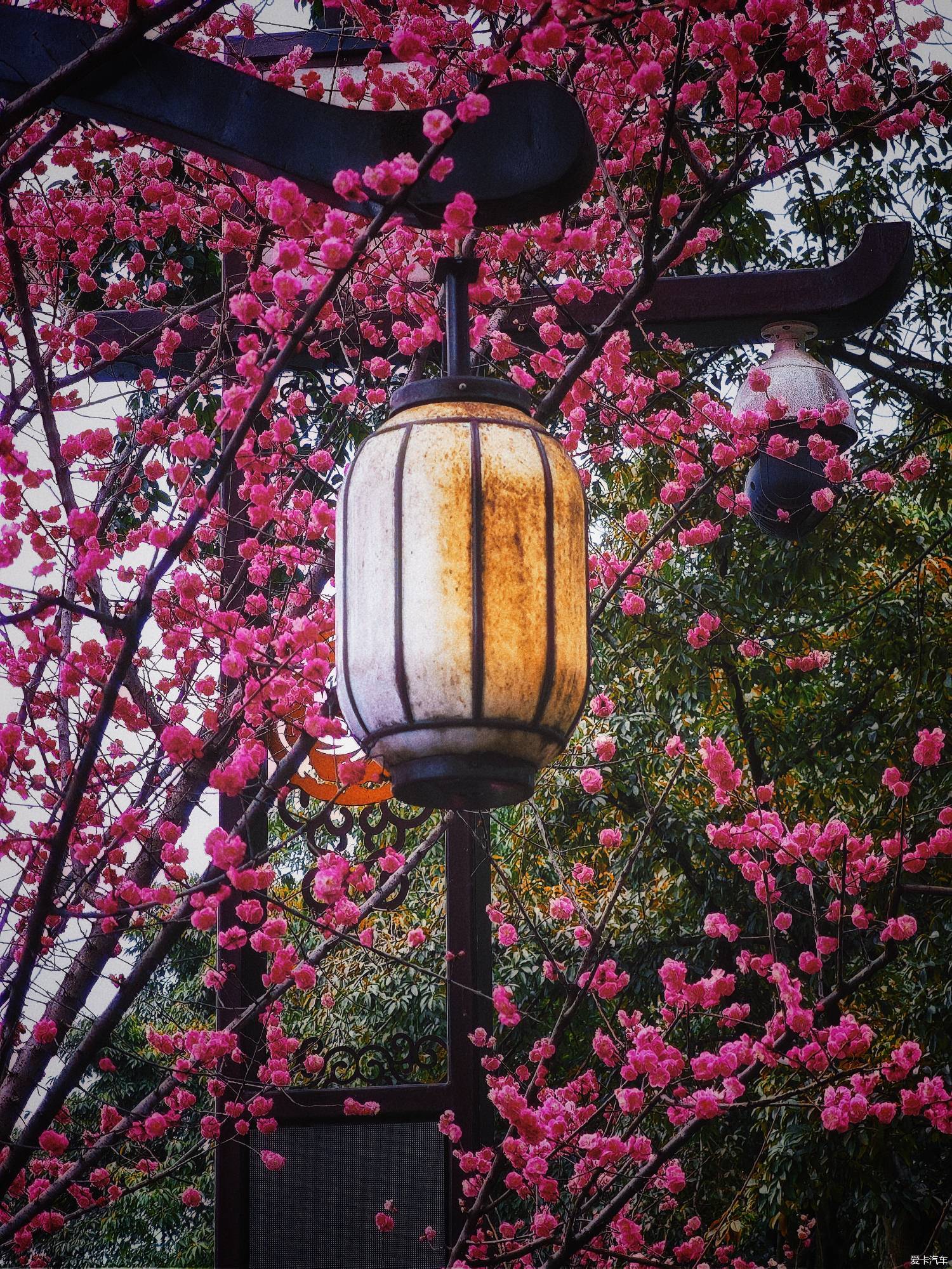 百花潭公园，过去的成都动物园