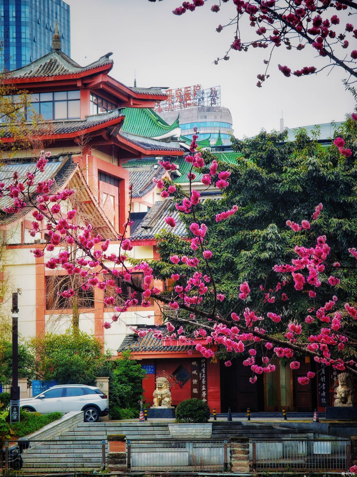 百花潭公园，过去的成都动物园
