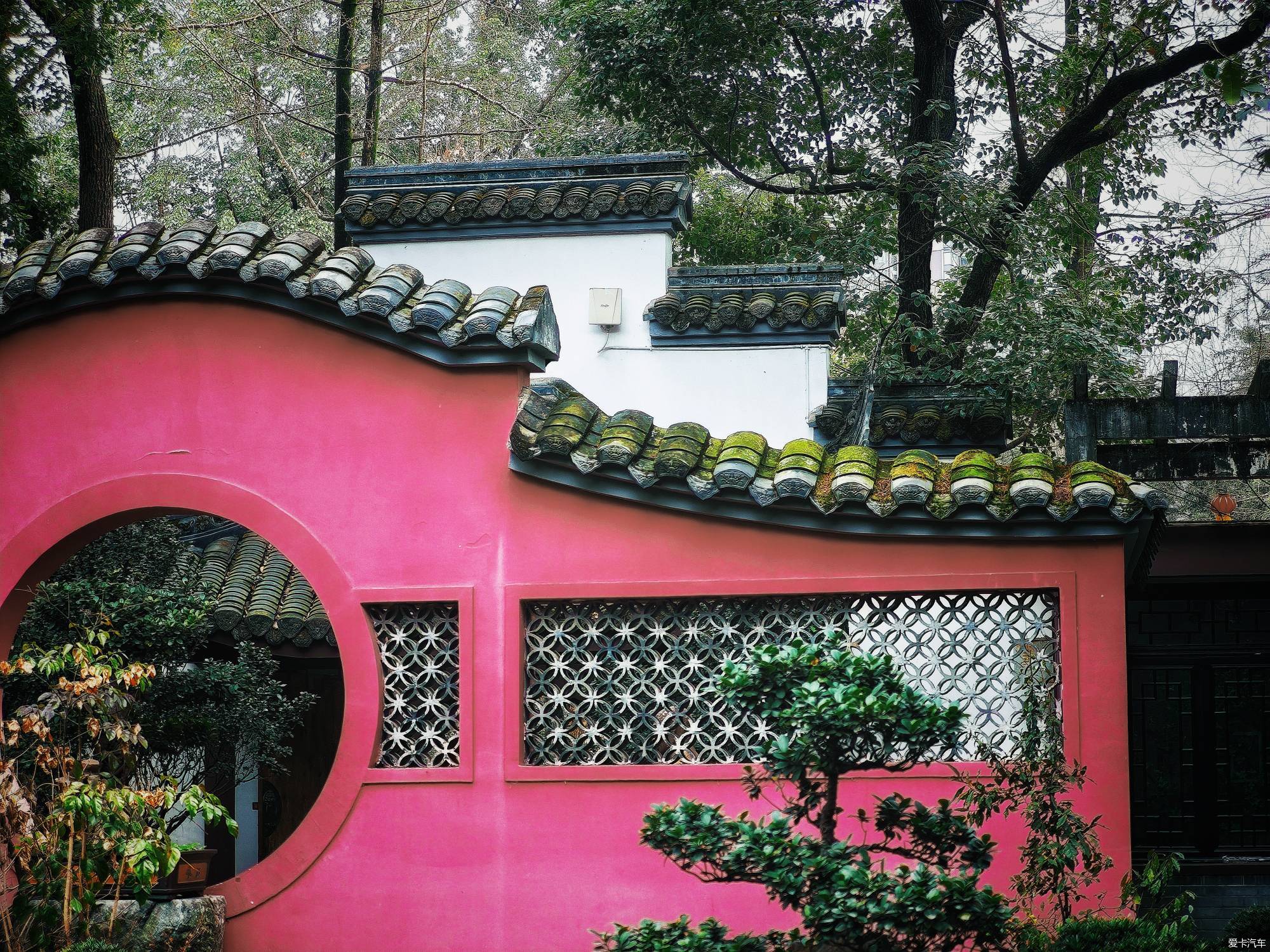 百花潭公园，过去的成都动物园
