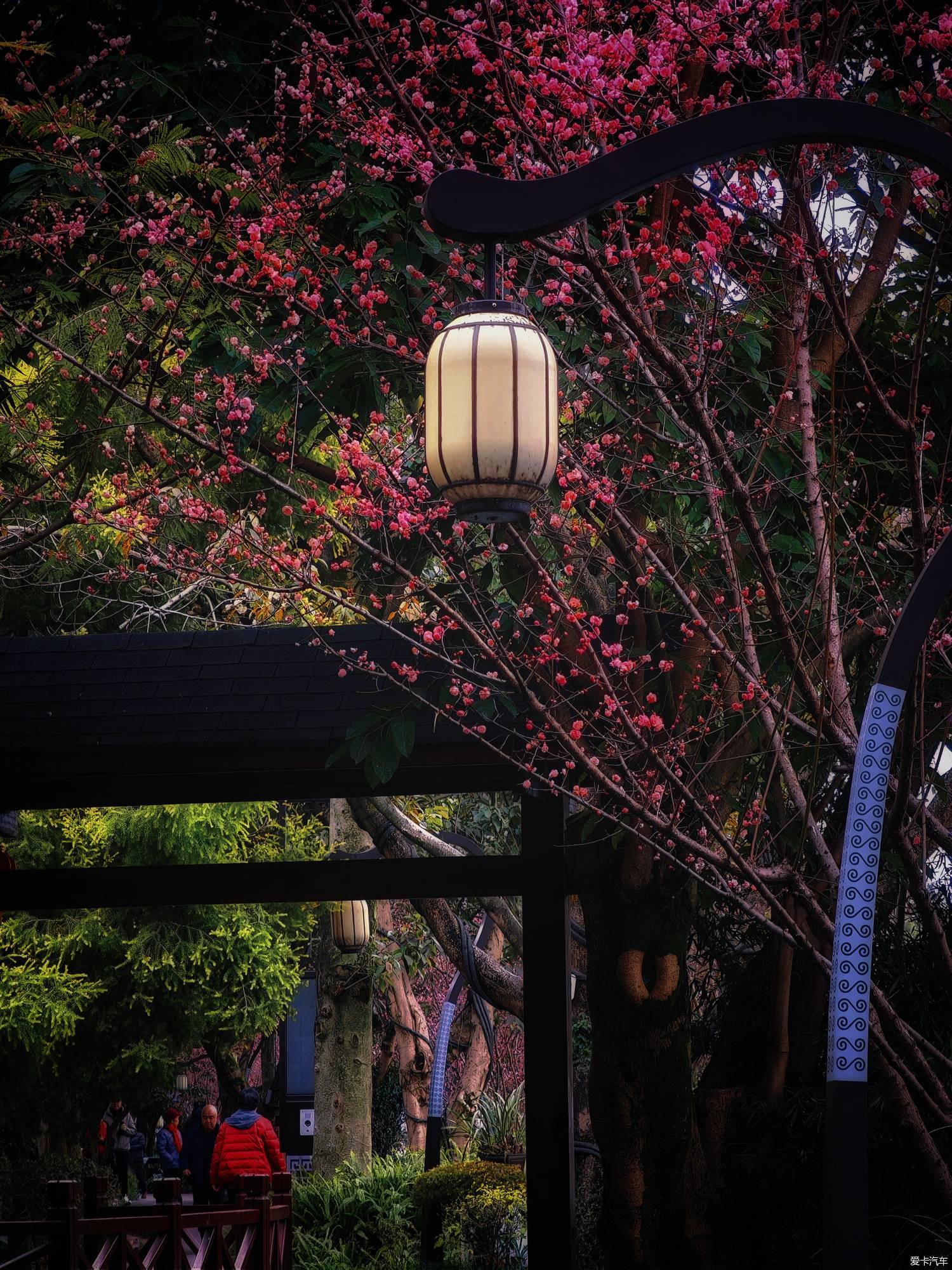 百花潭公园，过去的成都动物园