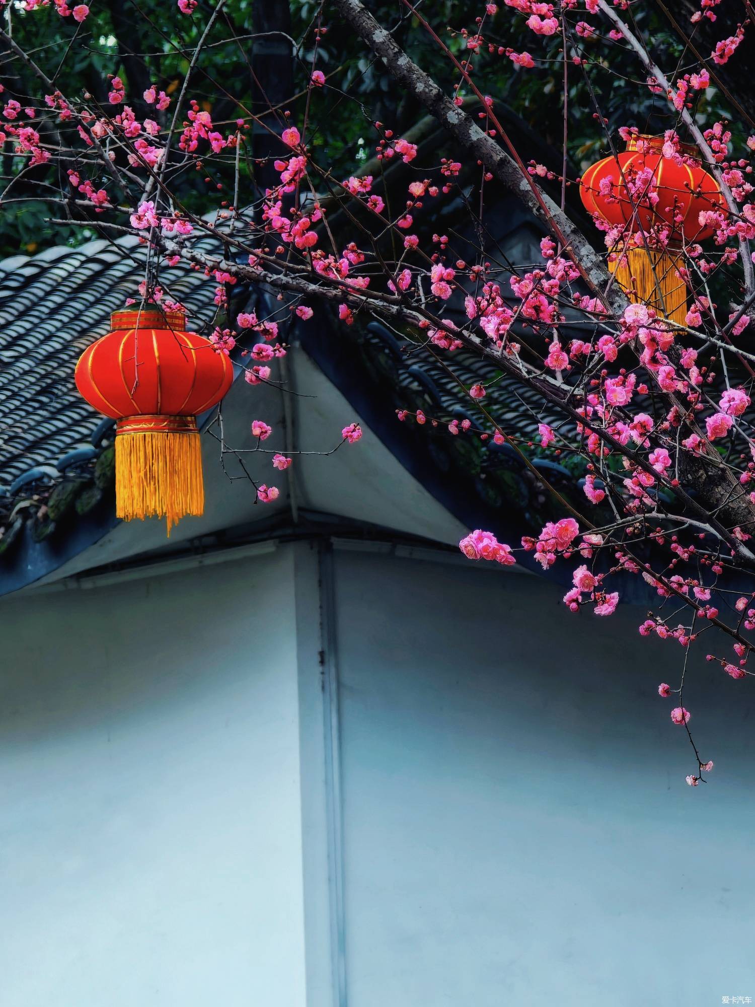 百花潭公园，过去的成都动物园