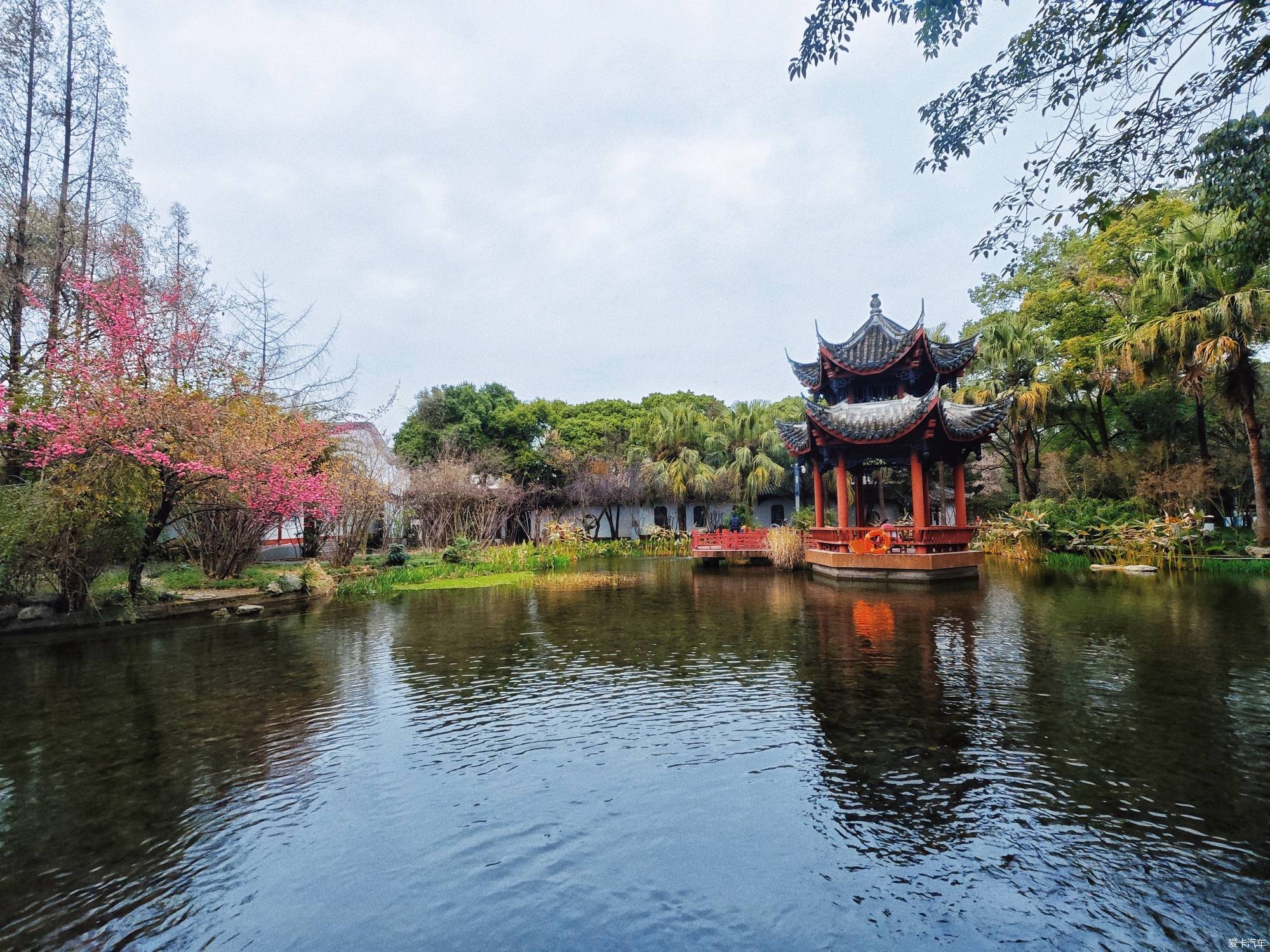 百花潭公园，过去的成都动物园