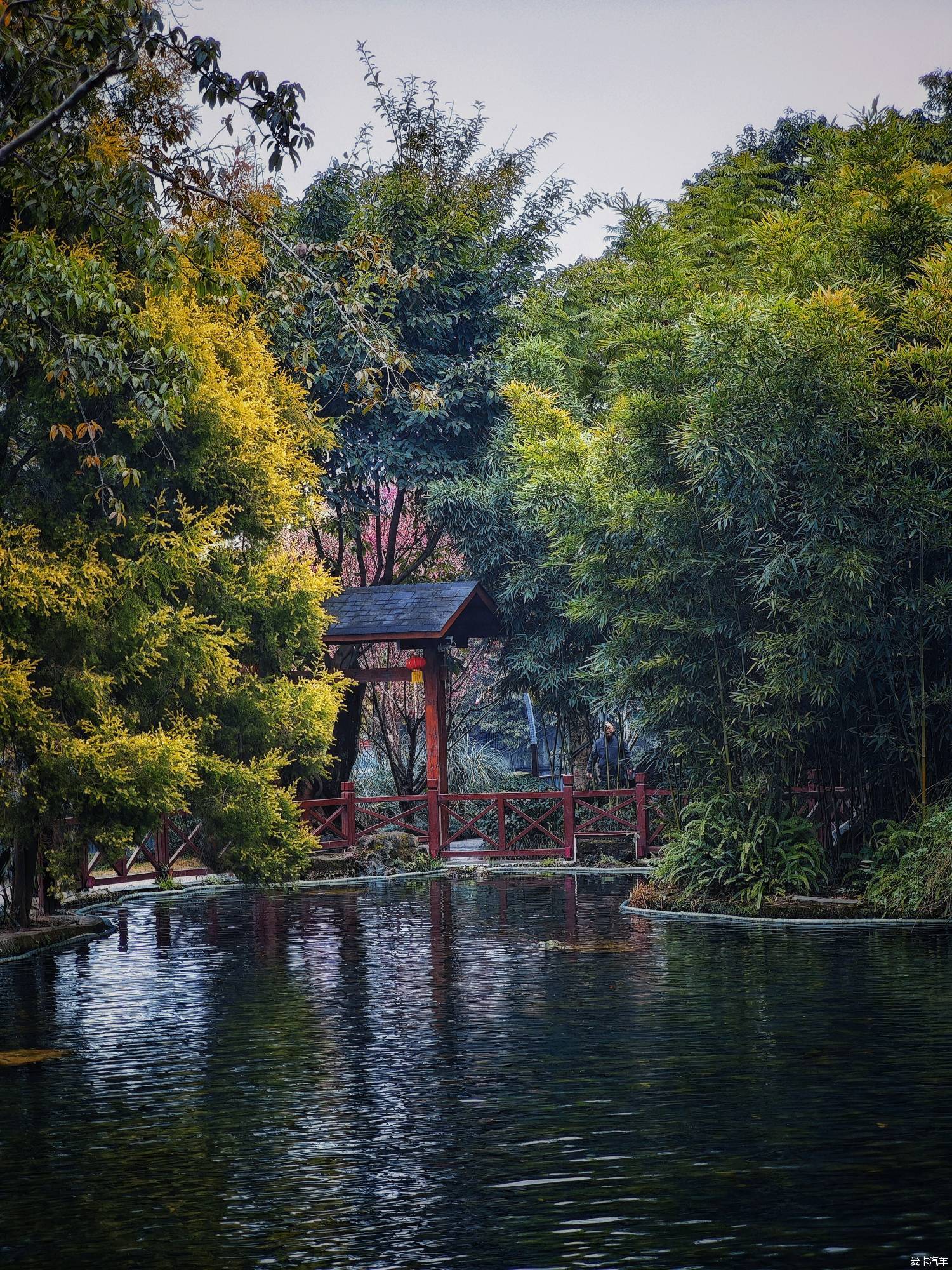 百花潭公园，过去的成都动物园