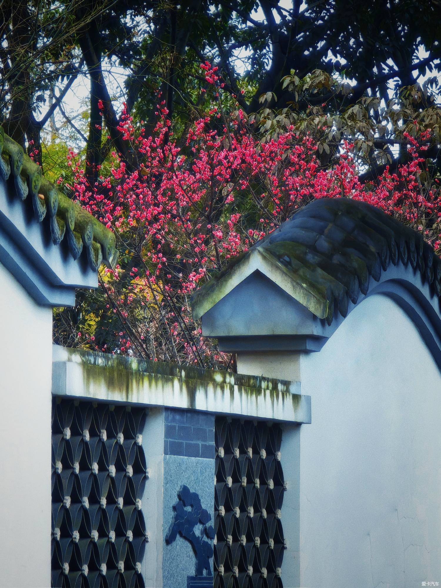 百花潭公园，过去的成都动物园