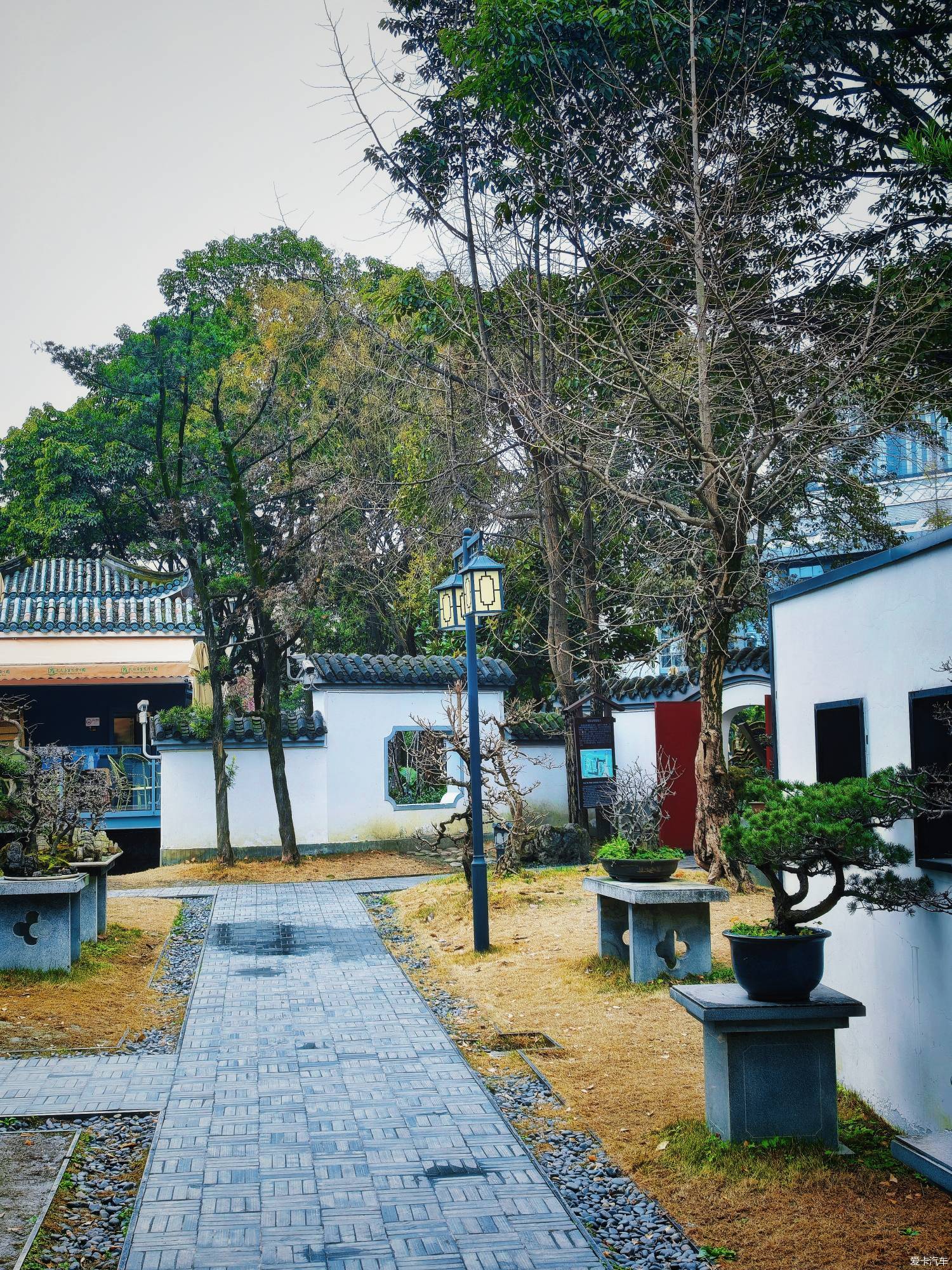 百花潭公园，过去的成都动物园