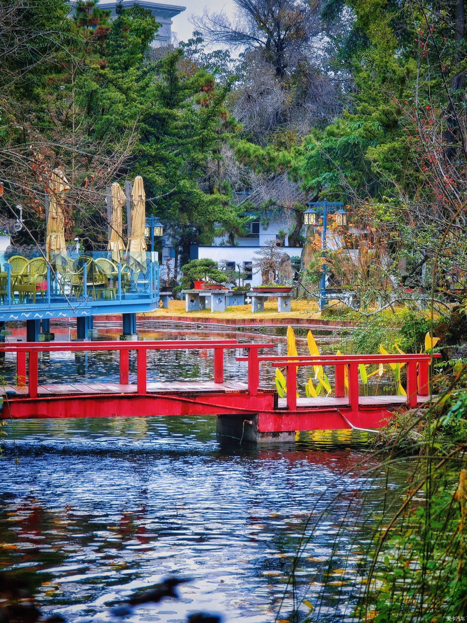 百花潭公园，过去的成都动物园