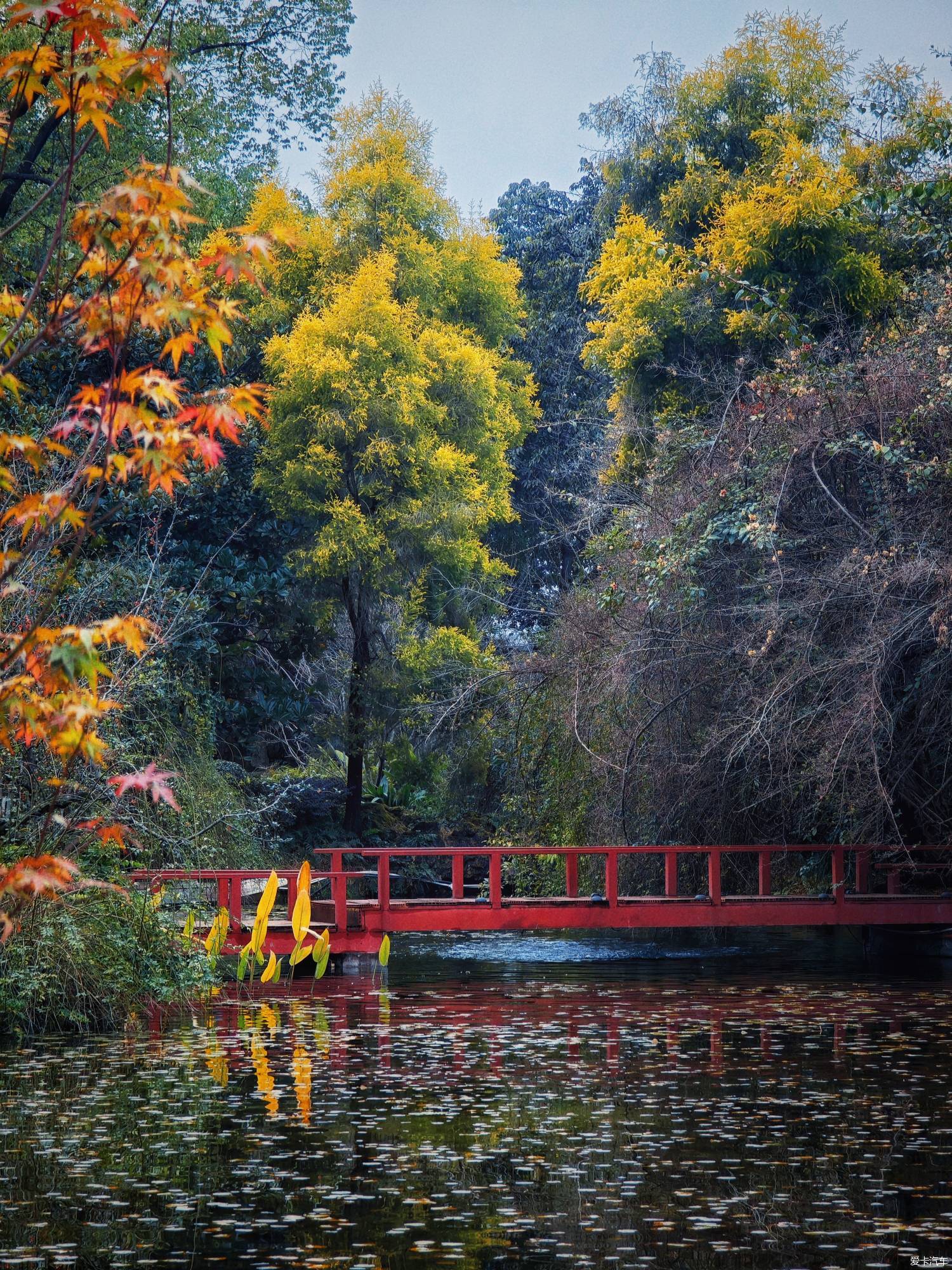 百花潭公园，过去的成都动物园