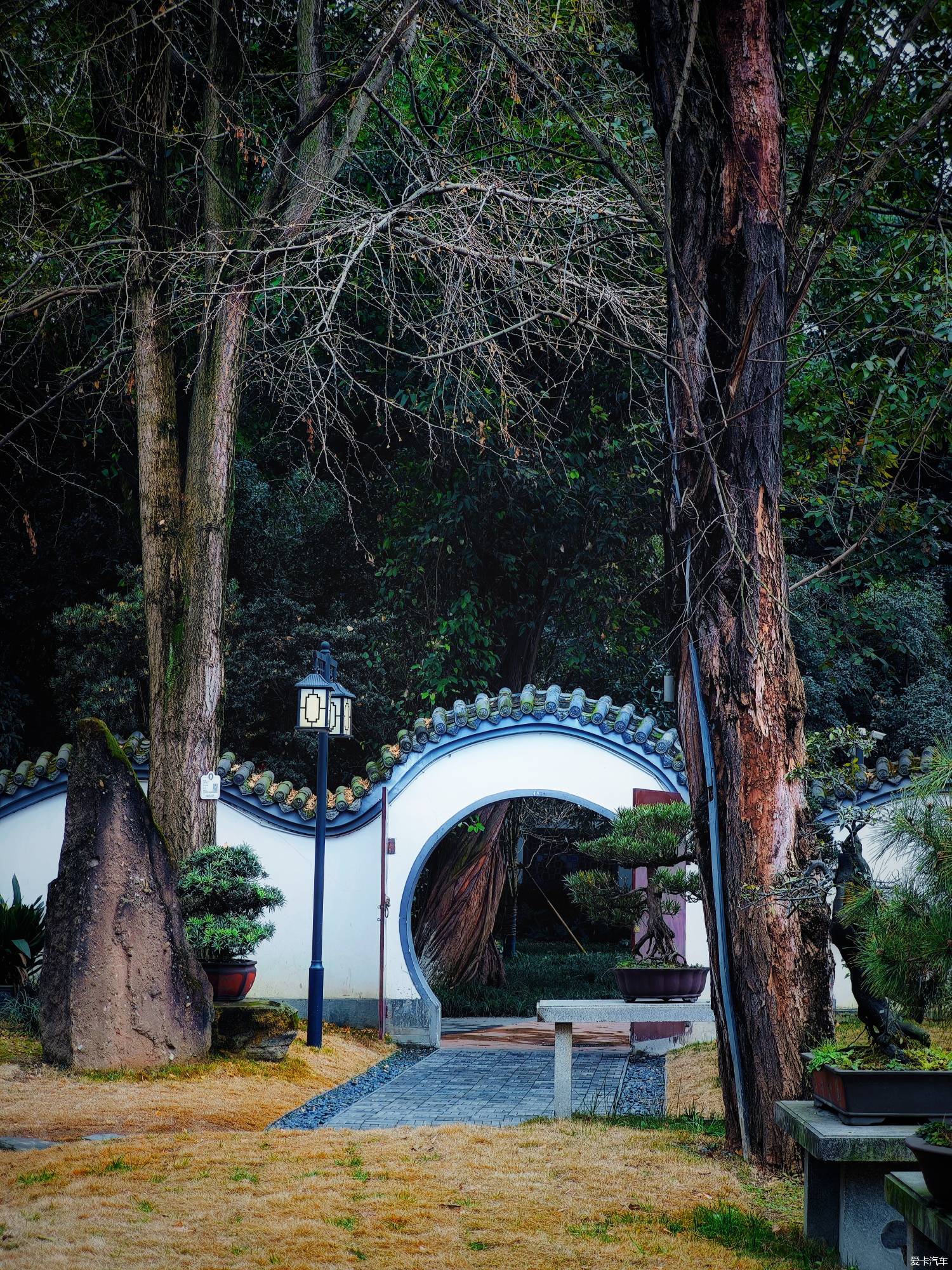 百花潭公园，过去的成都动物园