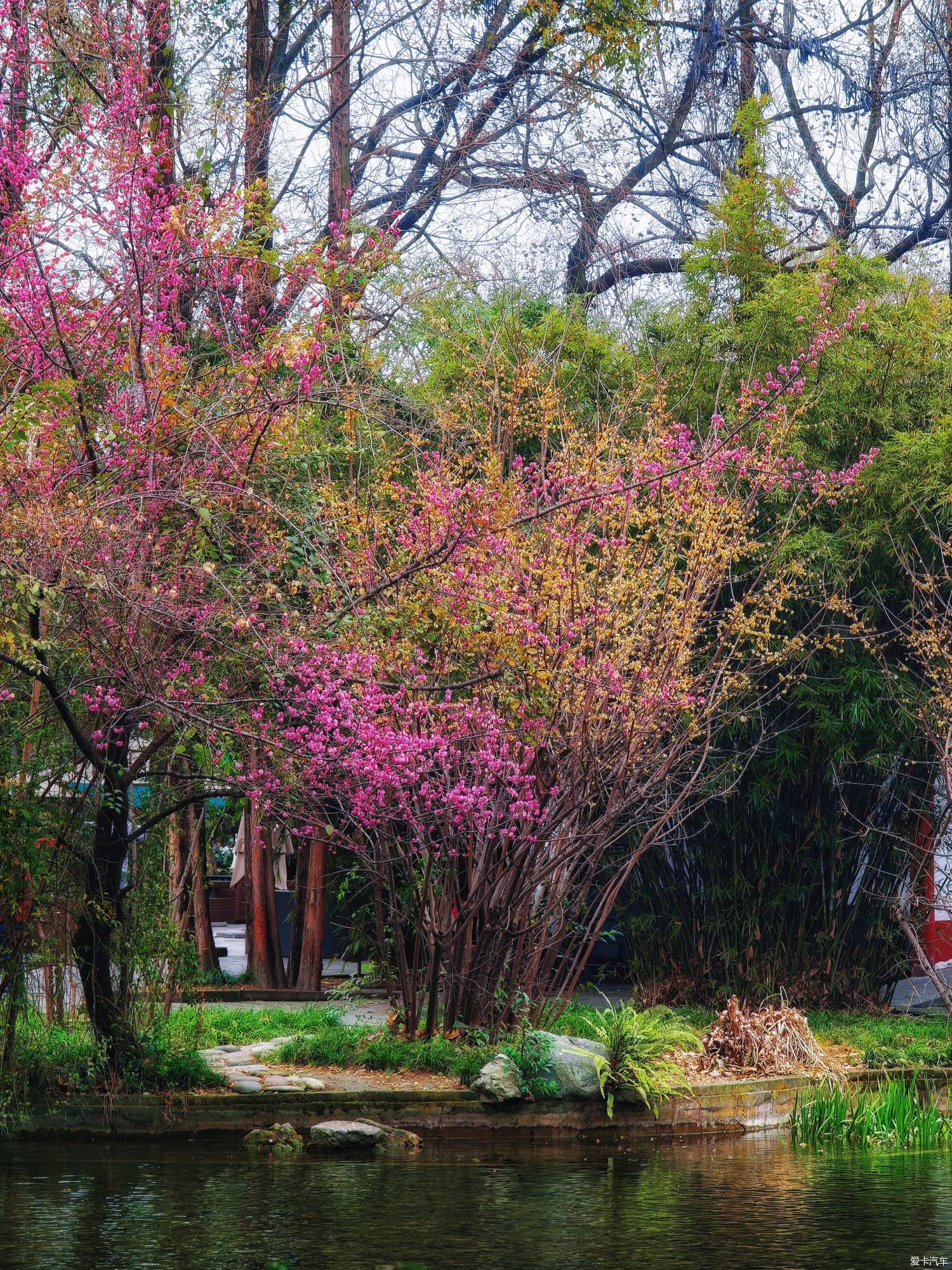 百花潭公园，过去的成都动物园