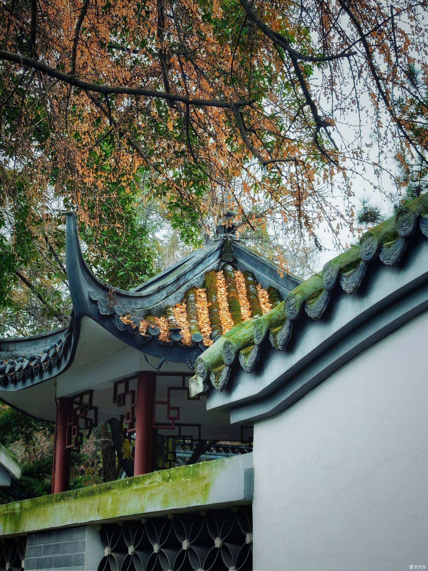 百花潭公园，过去的成都动物园