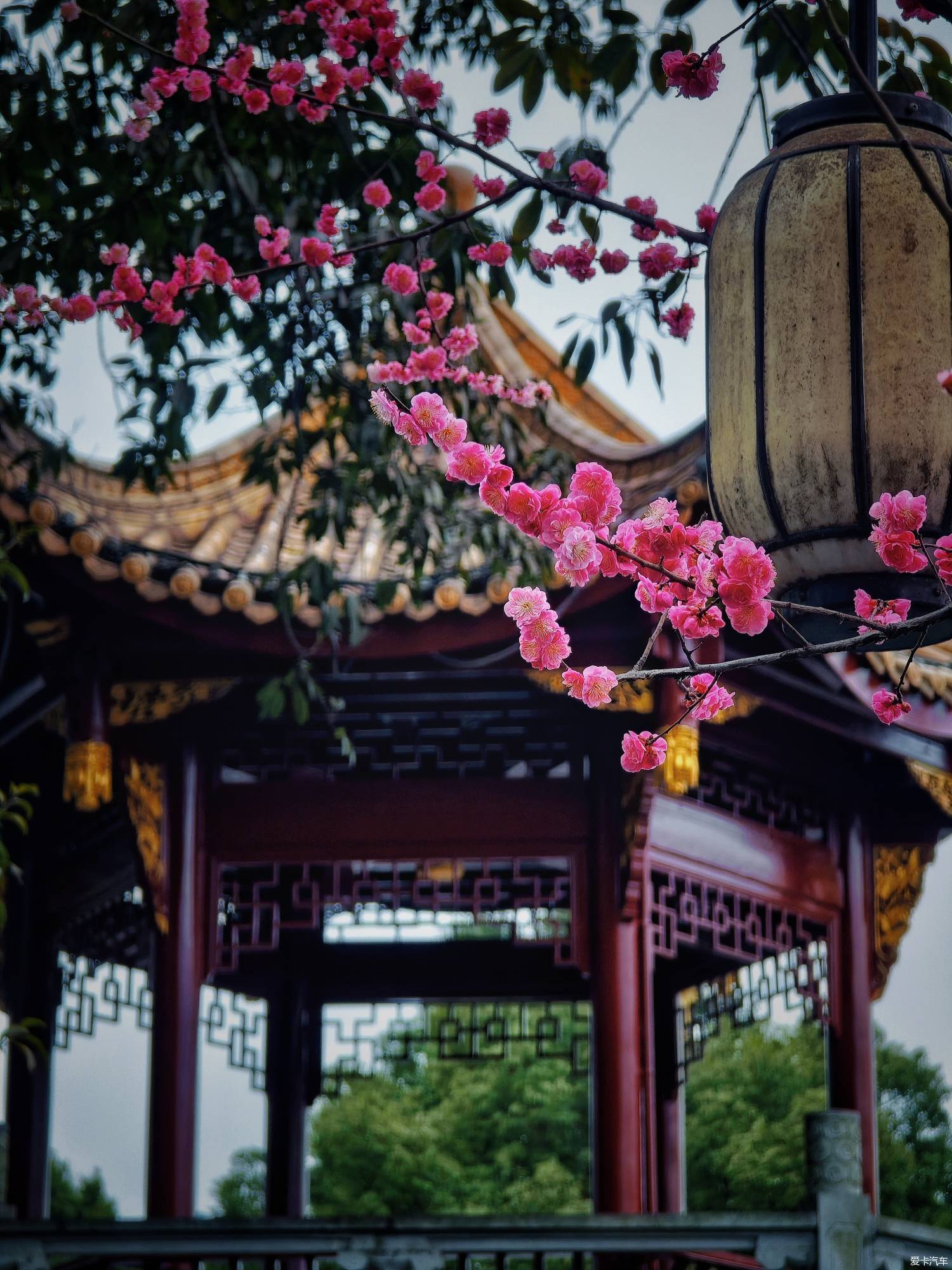 百花潭公园，过去的成都动物园