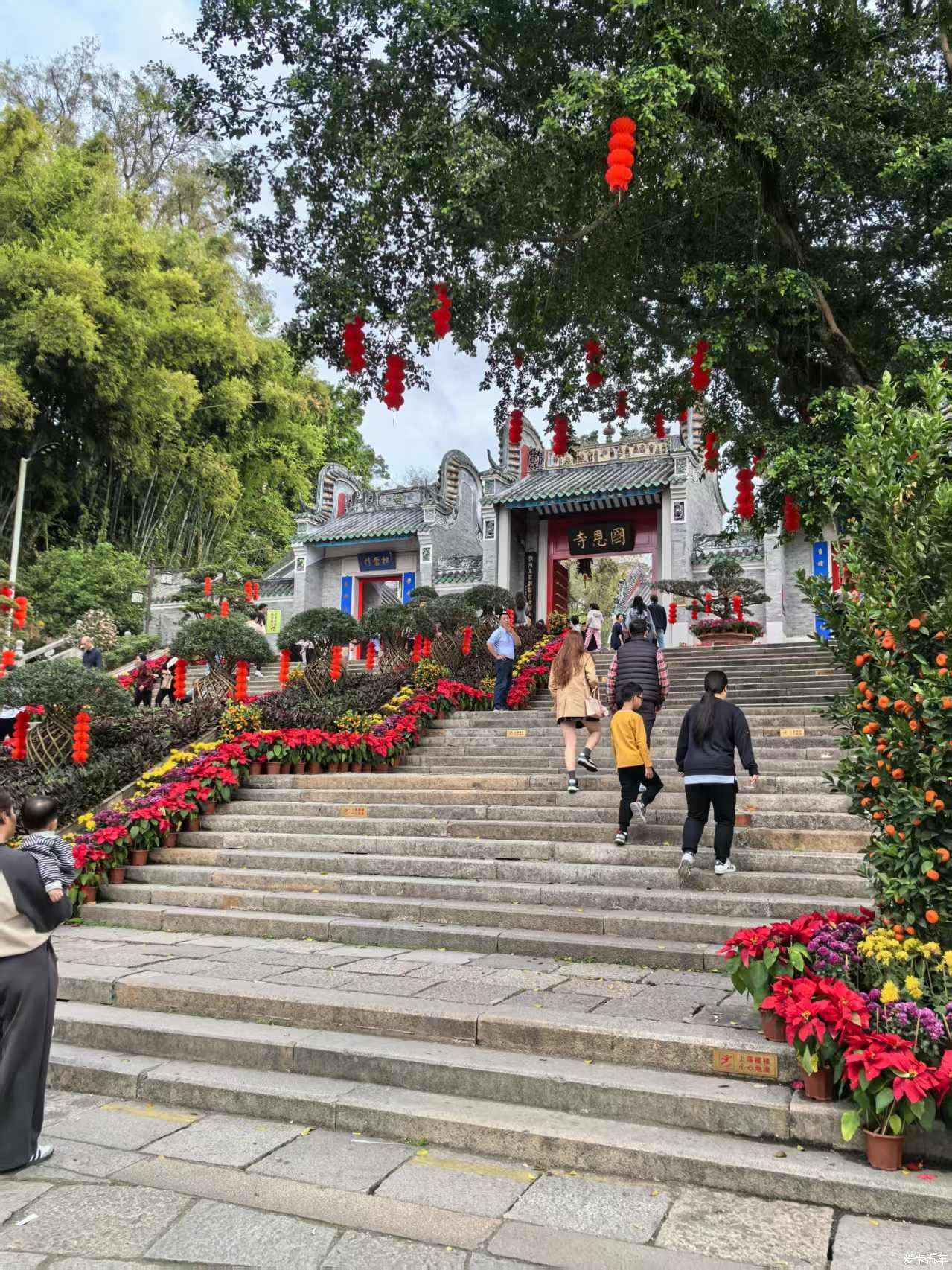 点击进入图库