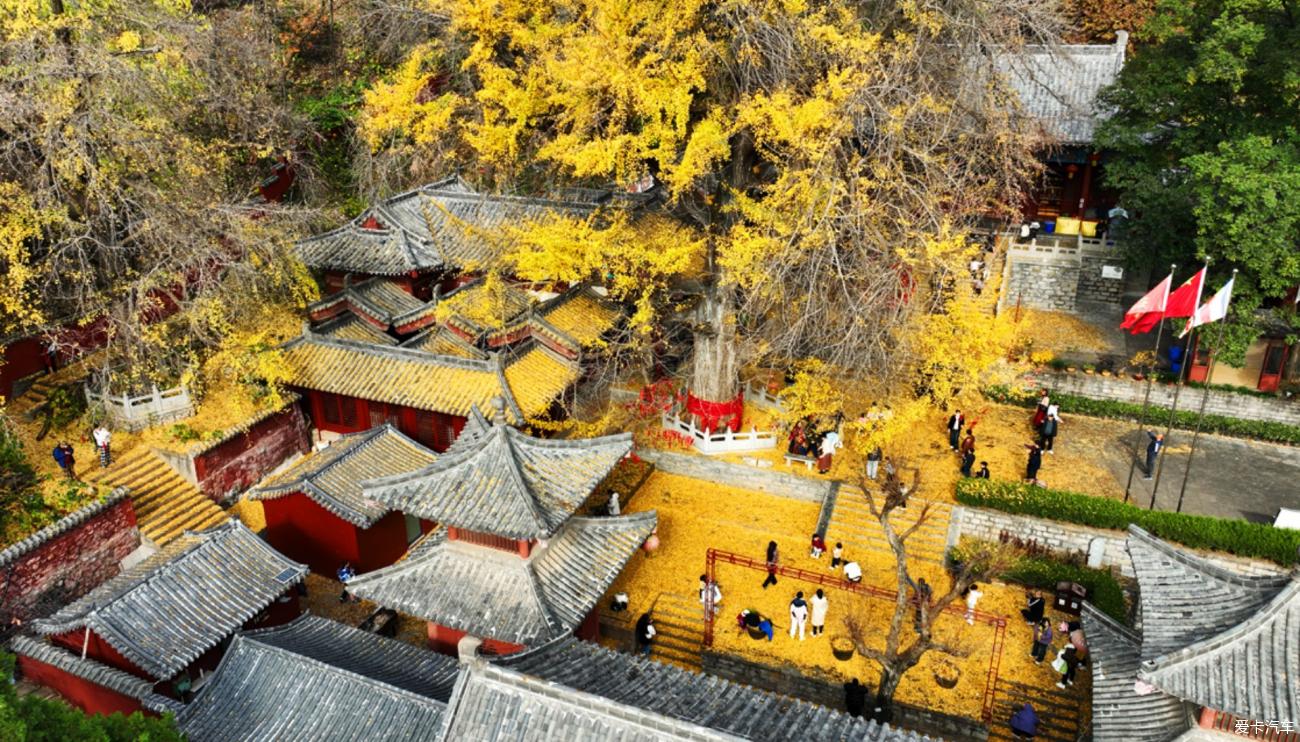 点击进入图库