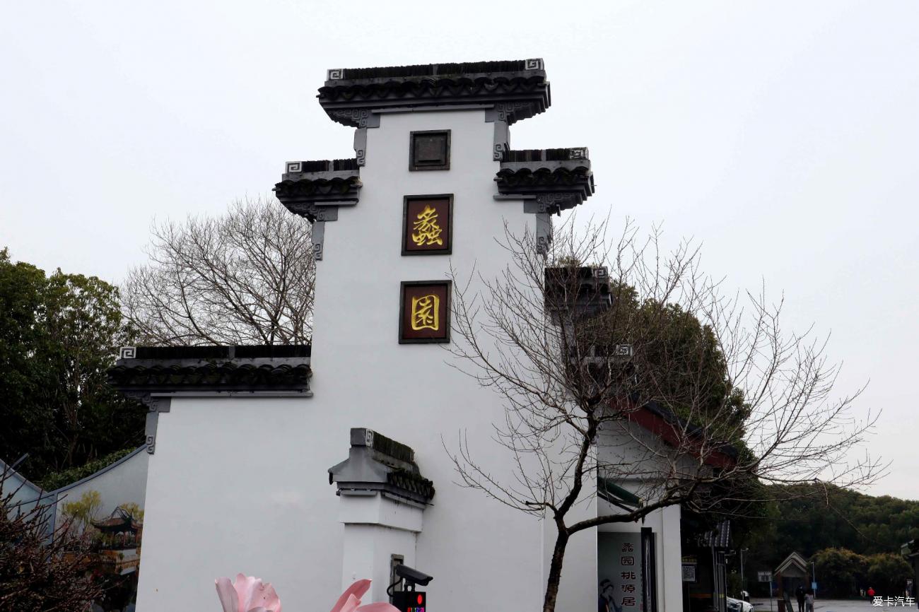 蠡园的桃花盛开