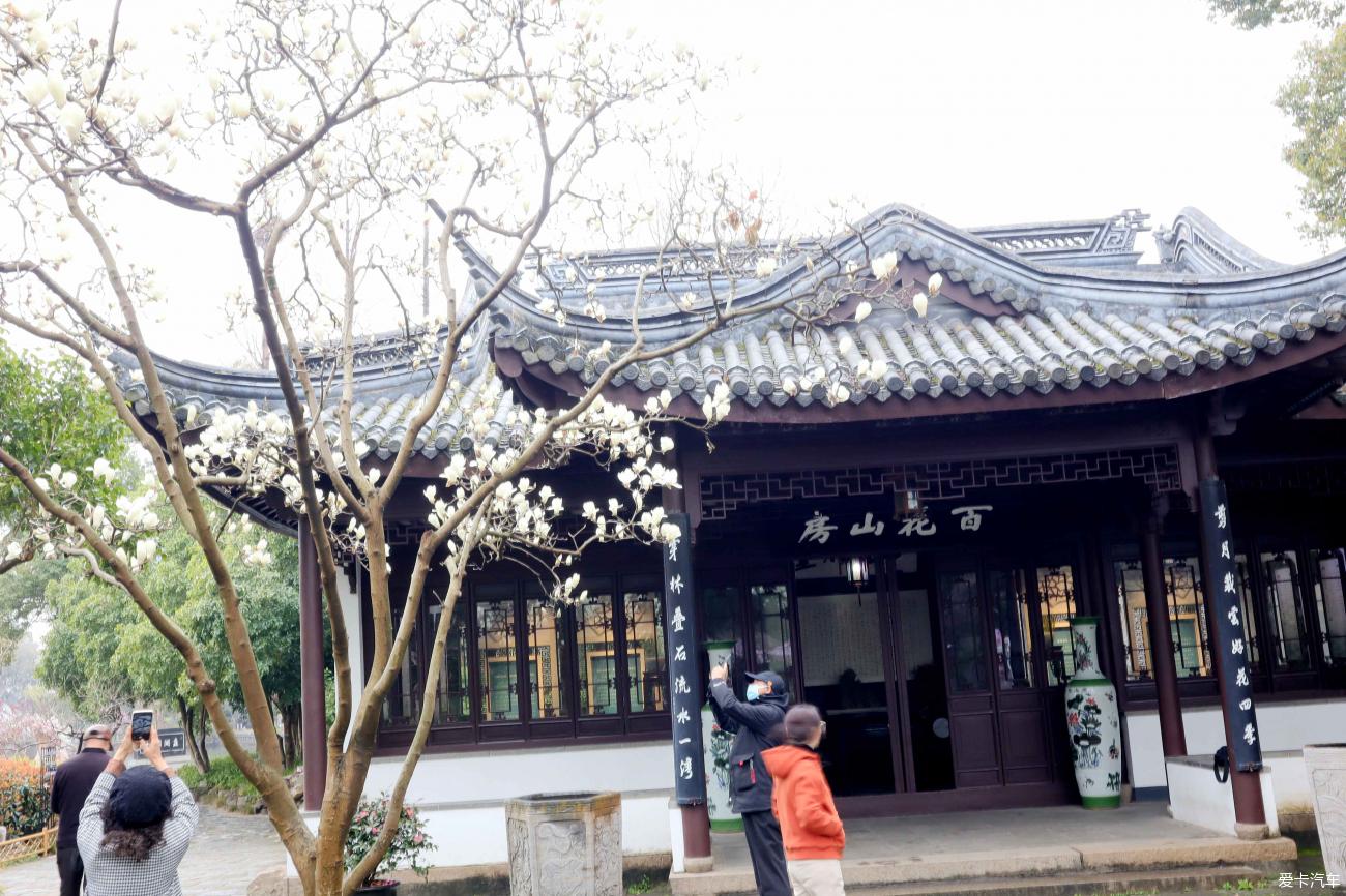 蠡园的桃花盛开