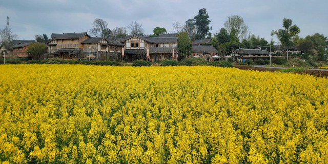 官塘新村