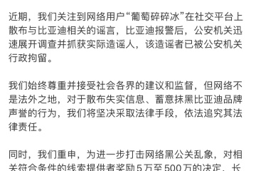 这次算是踢到铁板了，比亚迪严厉反击黑公关，不只是说说而已
